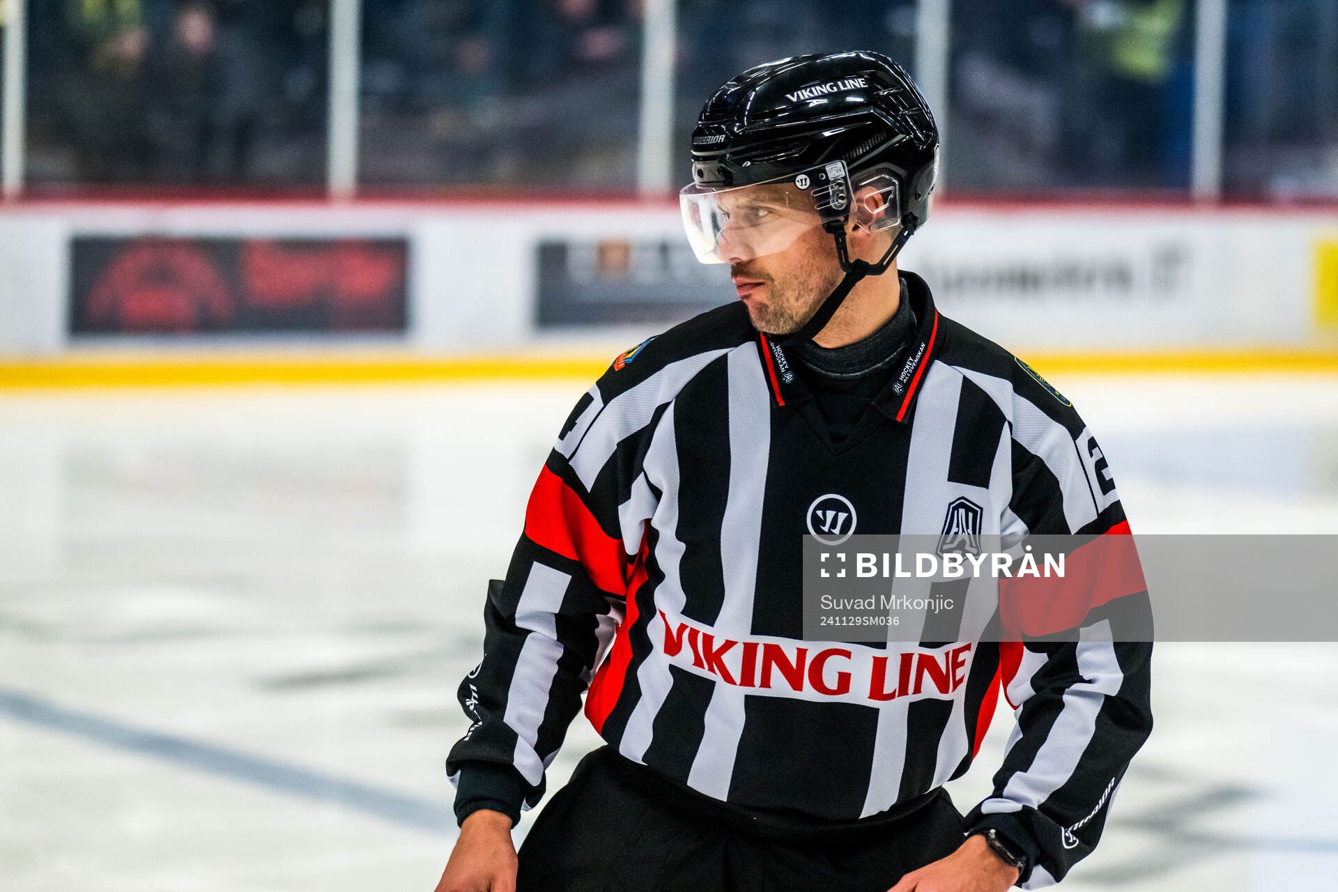 Domare Johan Magnusson