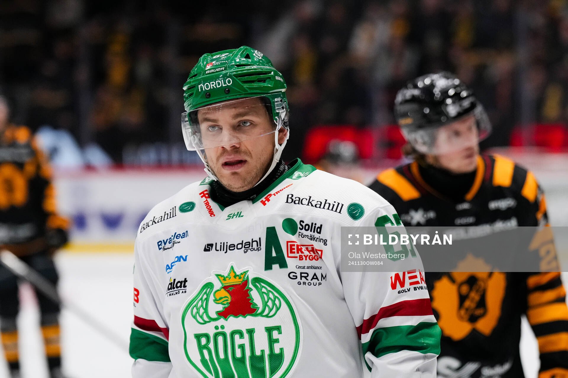 Rögles Leon Bristedt