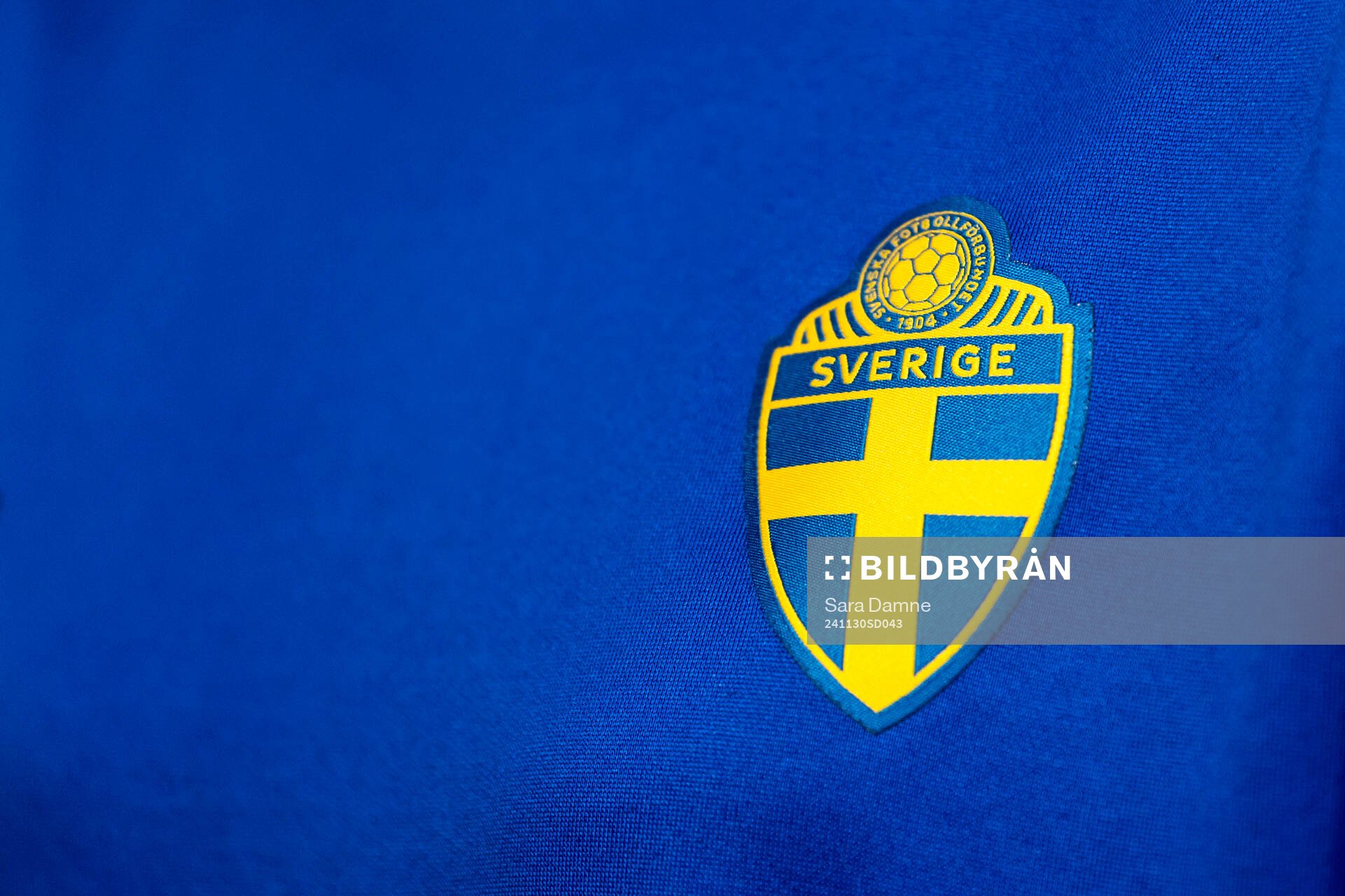 Logo of the Swedish Football federation