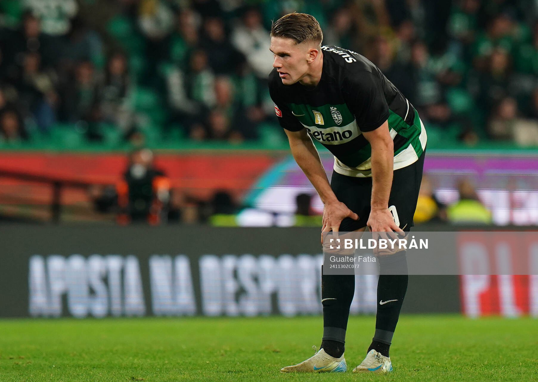 Viktor Gyokeres of Sporting CP