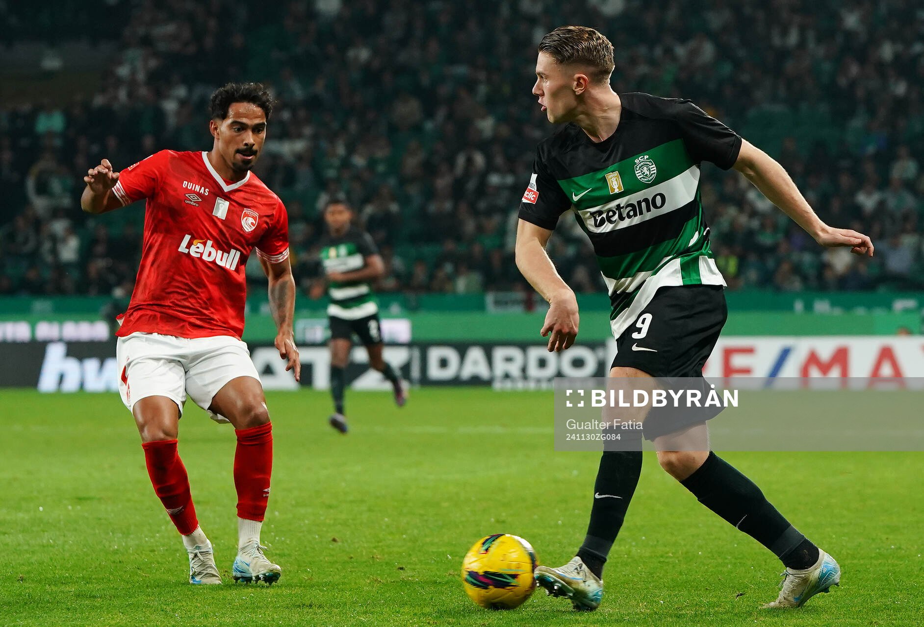 Viktor Gyokeres of Sporting CP
