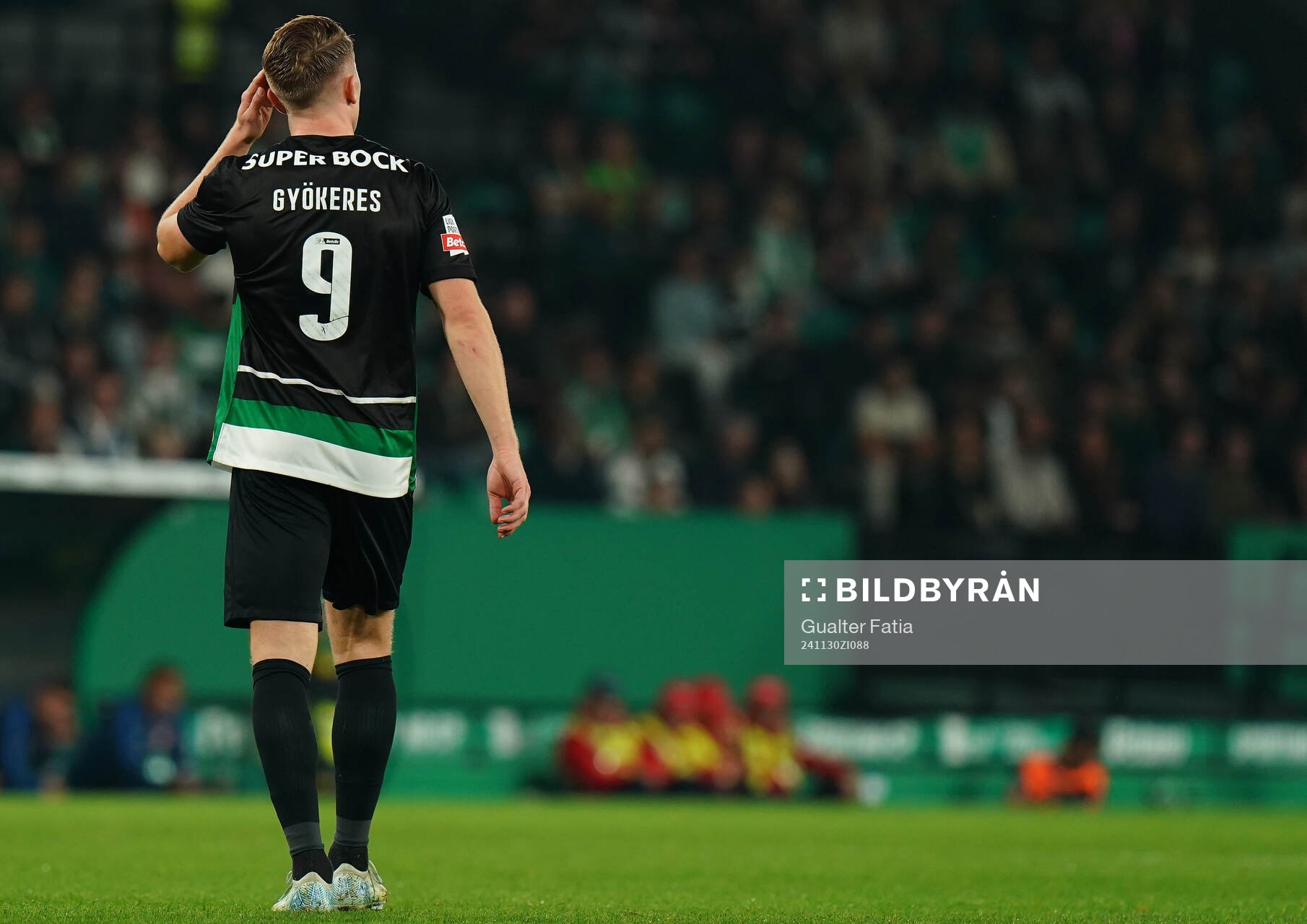 Viktor Gyokeres of Sporting CP