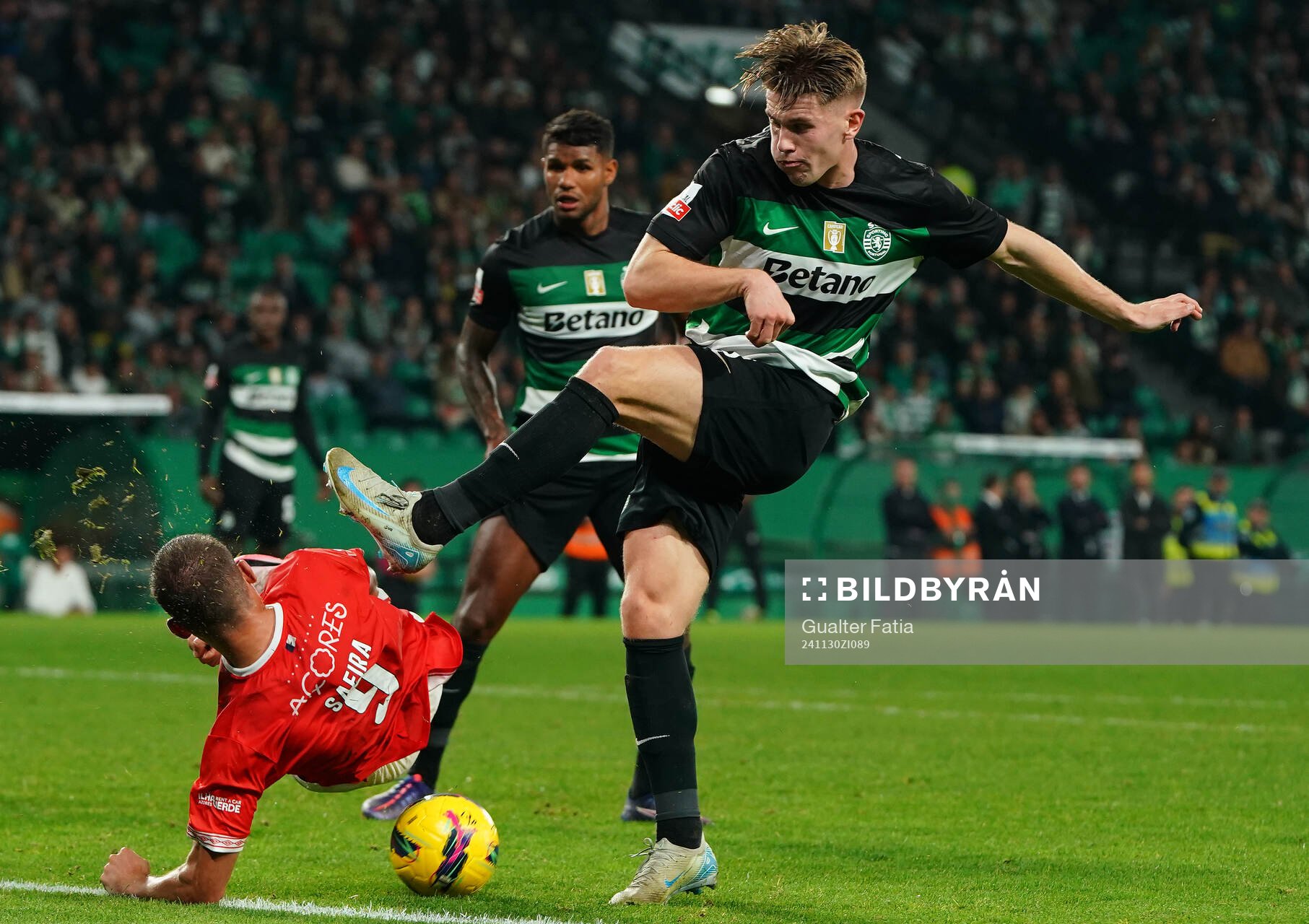 Viktor Gyokeres of Sporting CP