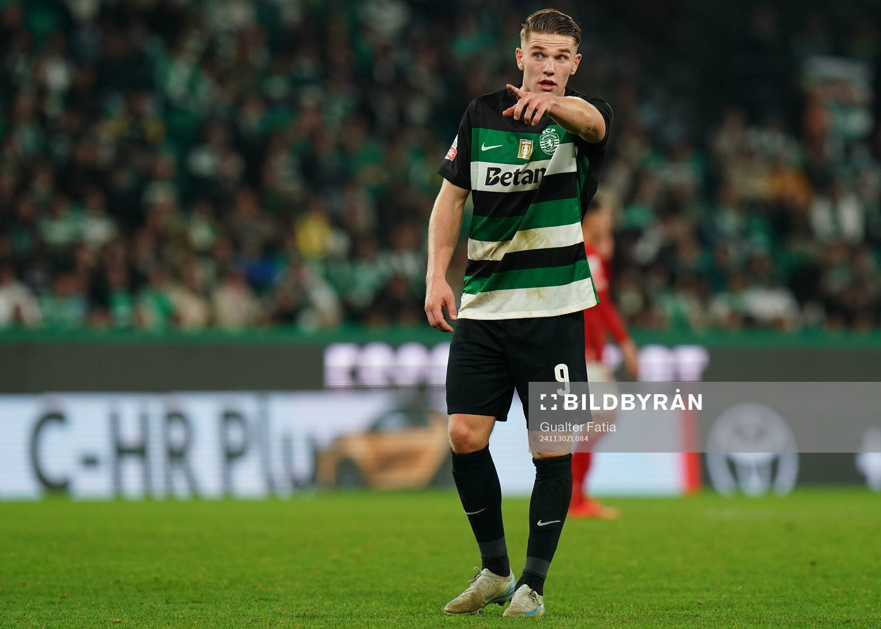 Viktor Gyokeres of Sporting CP