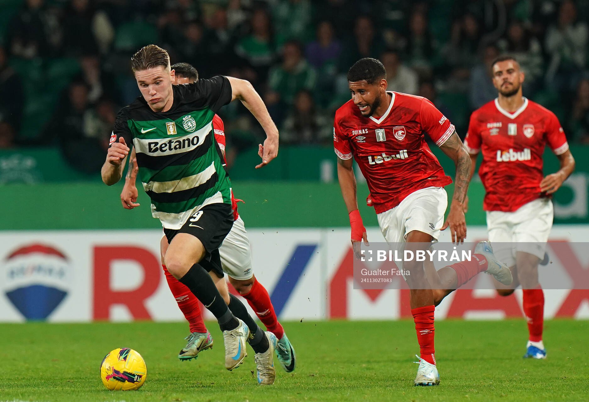 Viktor Gyokeres of Sporting CP