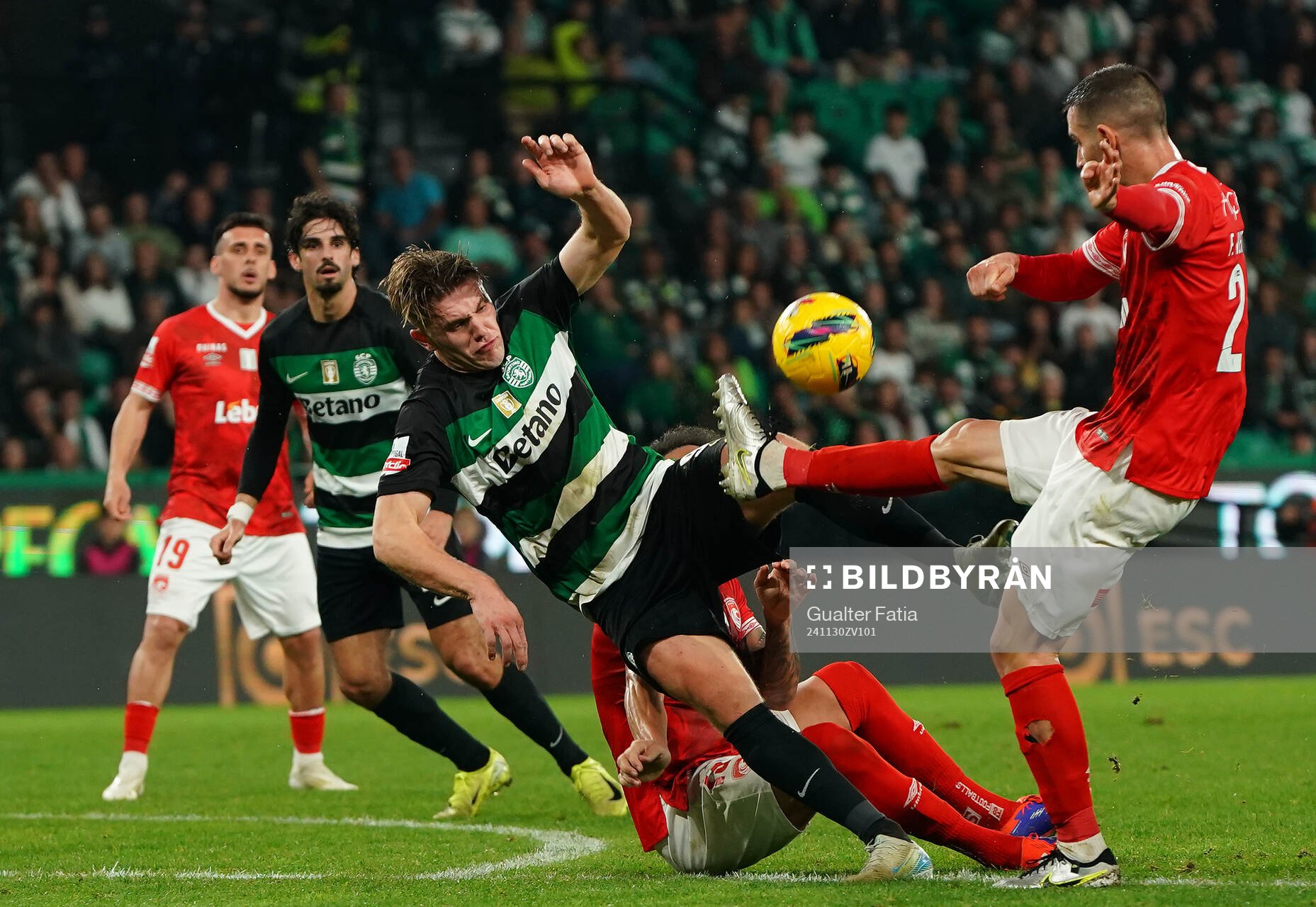 Viktor Gyokeres of Sporting CP