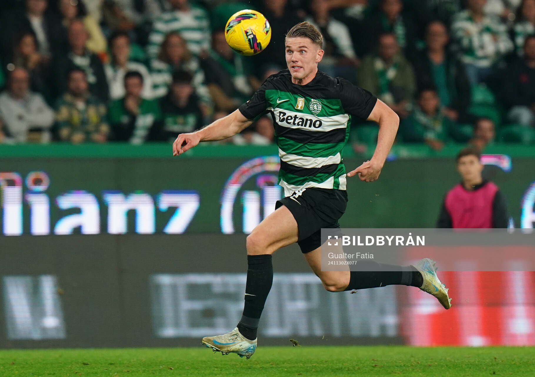 Viktor Gyokeres of Sporting CP