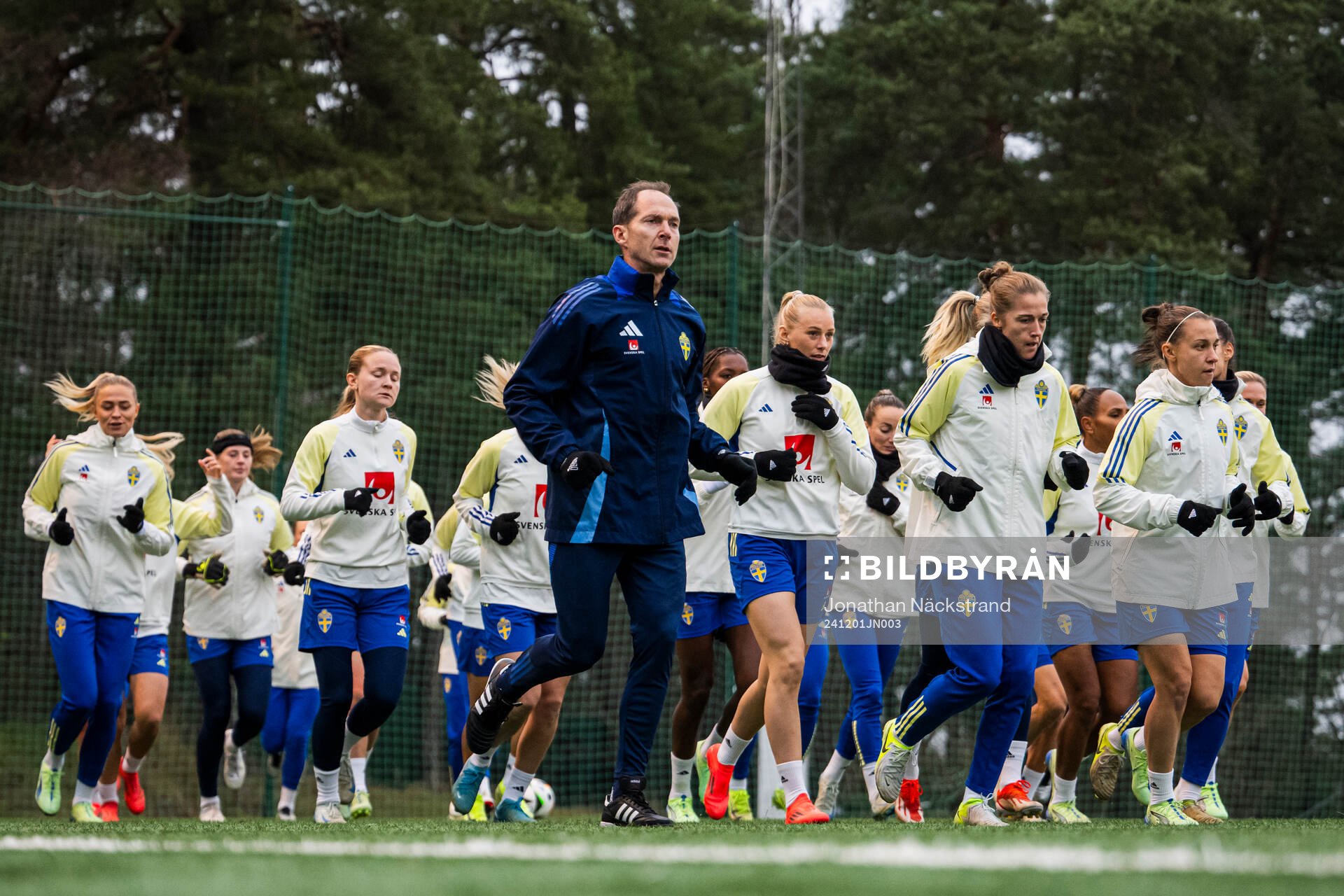 Players of the Swedish women's national football team