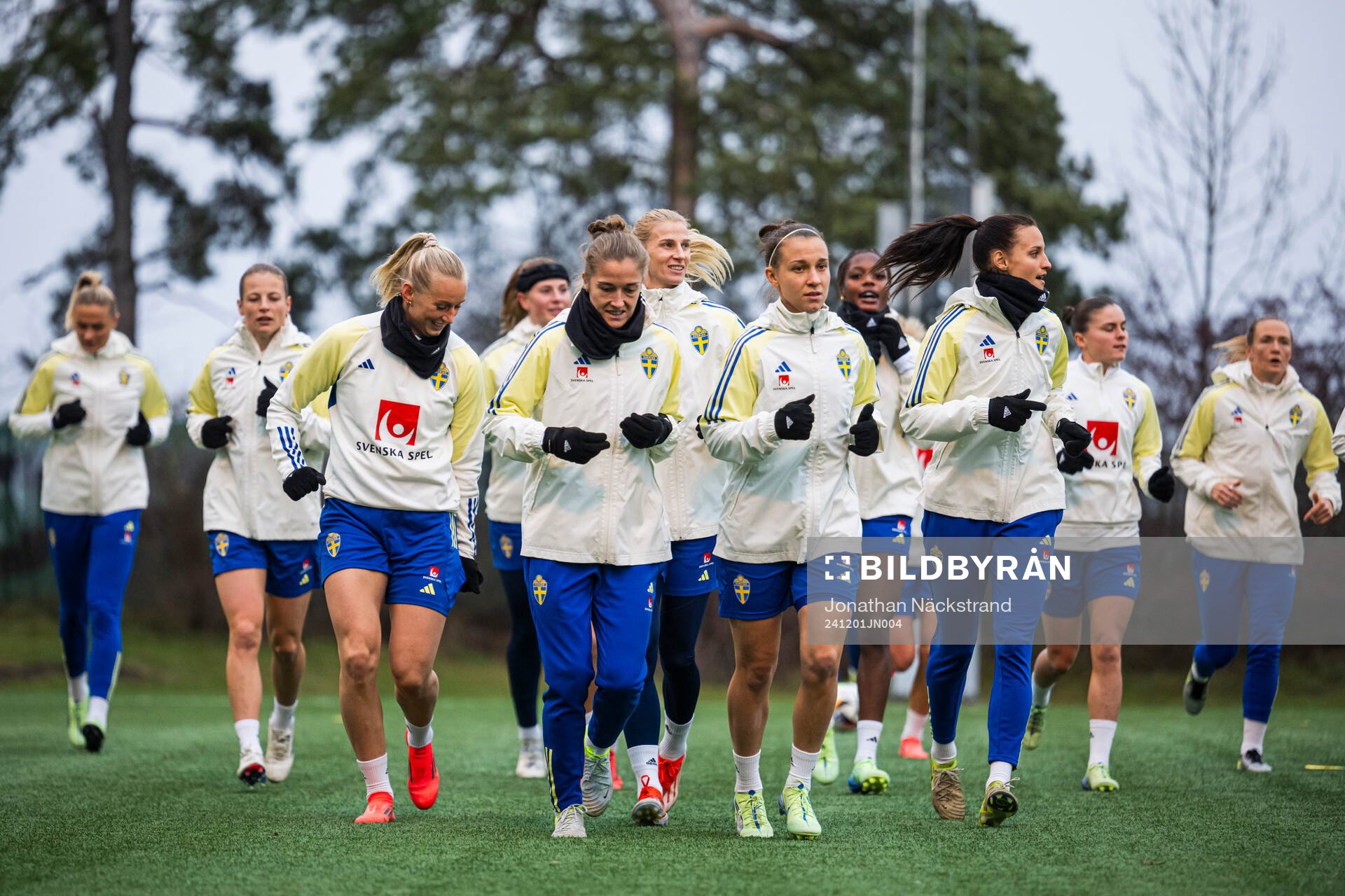 Players of the Swedish women's national football team