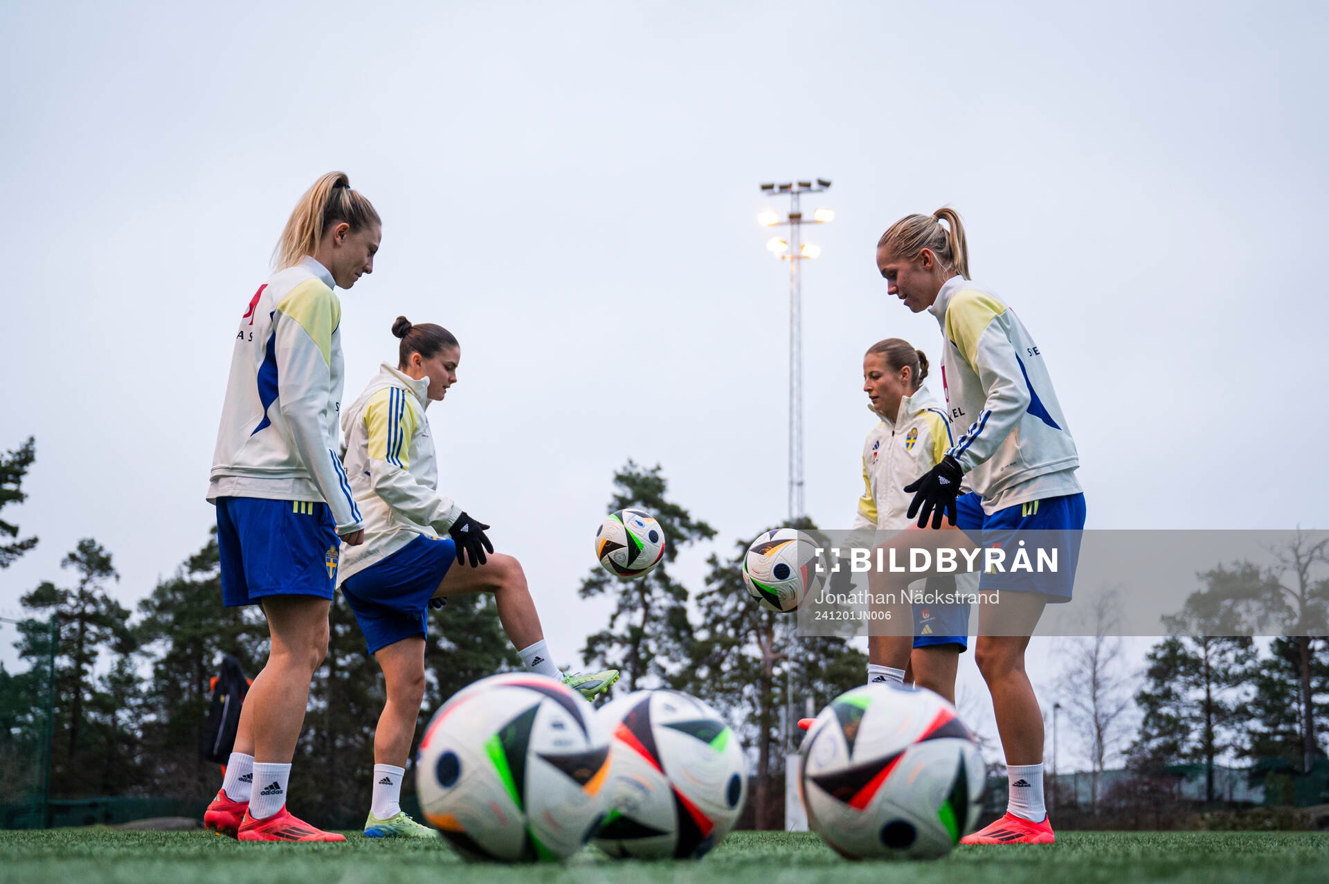 Players of the Swedish women's national football team