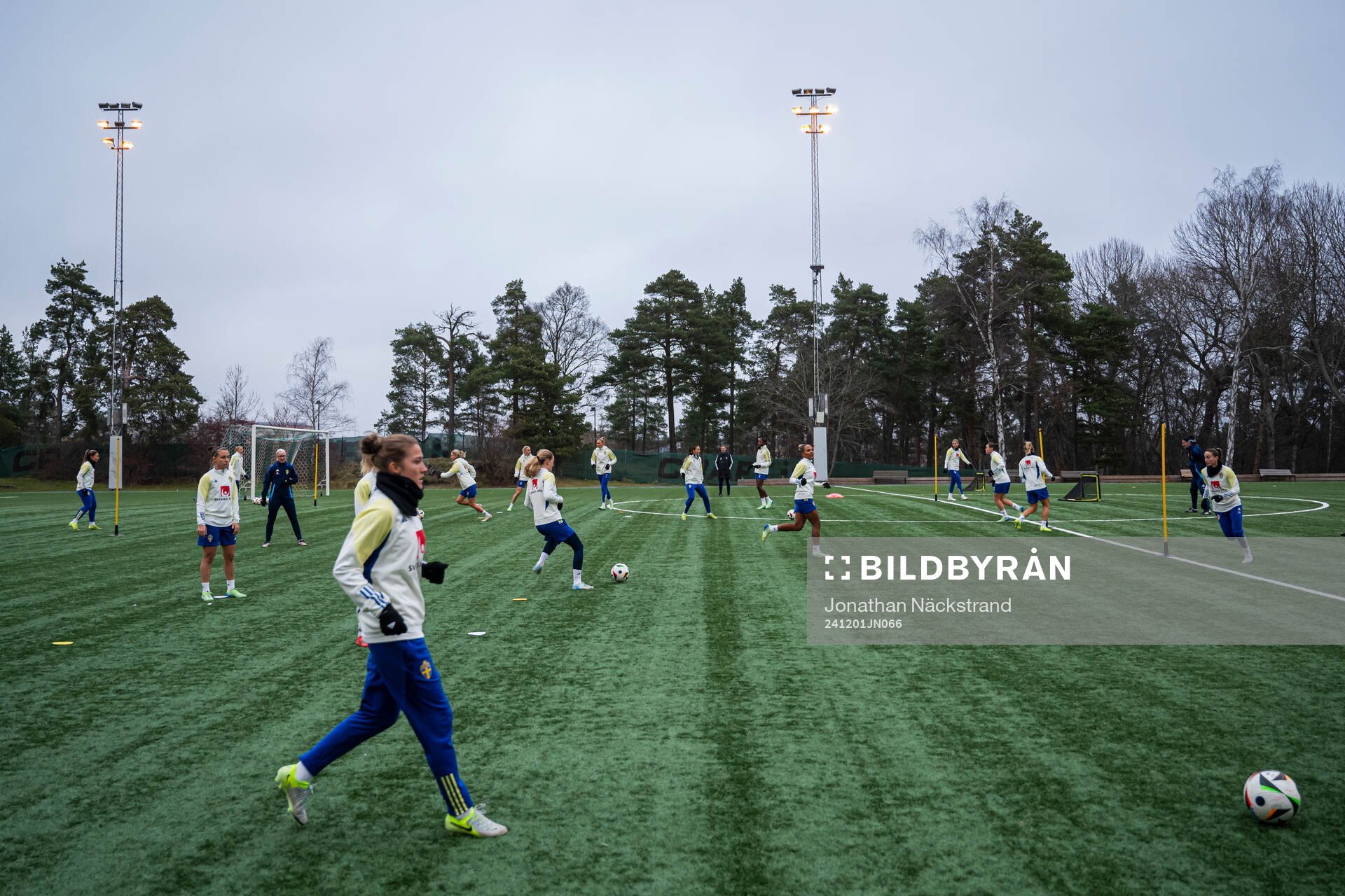 Players of the Swedish women's national football team