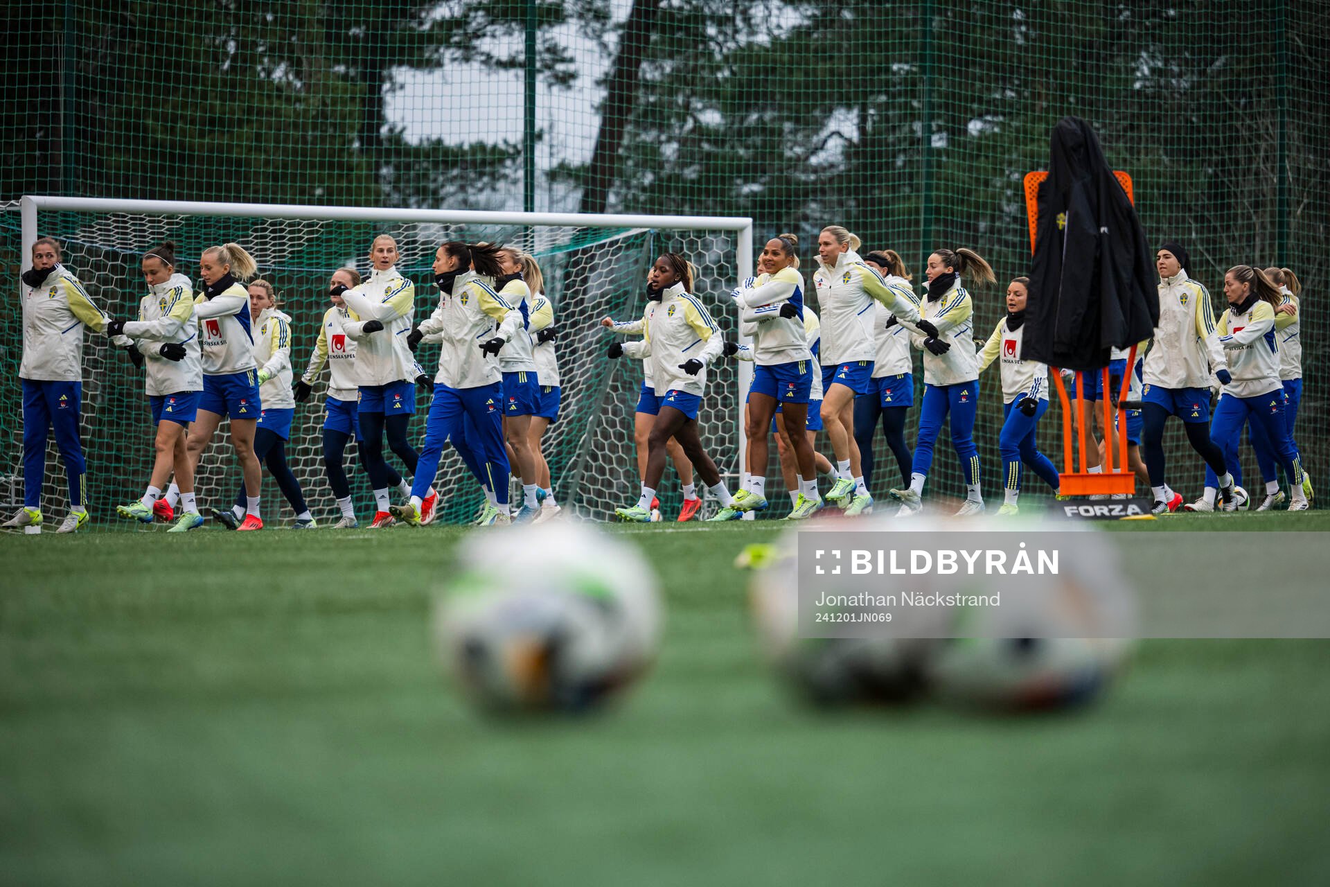 Players of the Swedish women's national football team