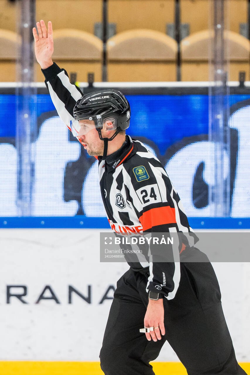 Domare Johan Magnusson