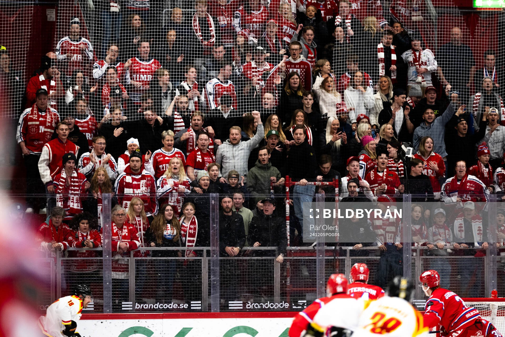 Timråsupportarna jublar