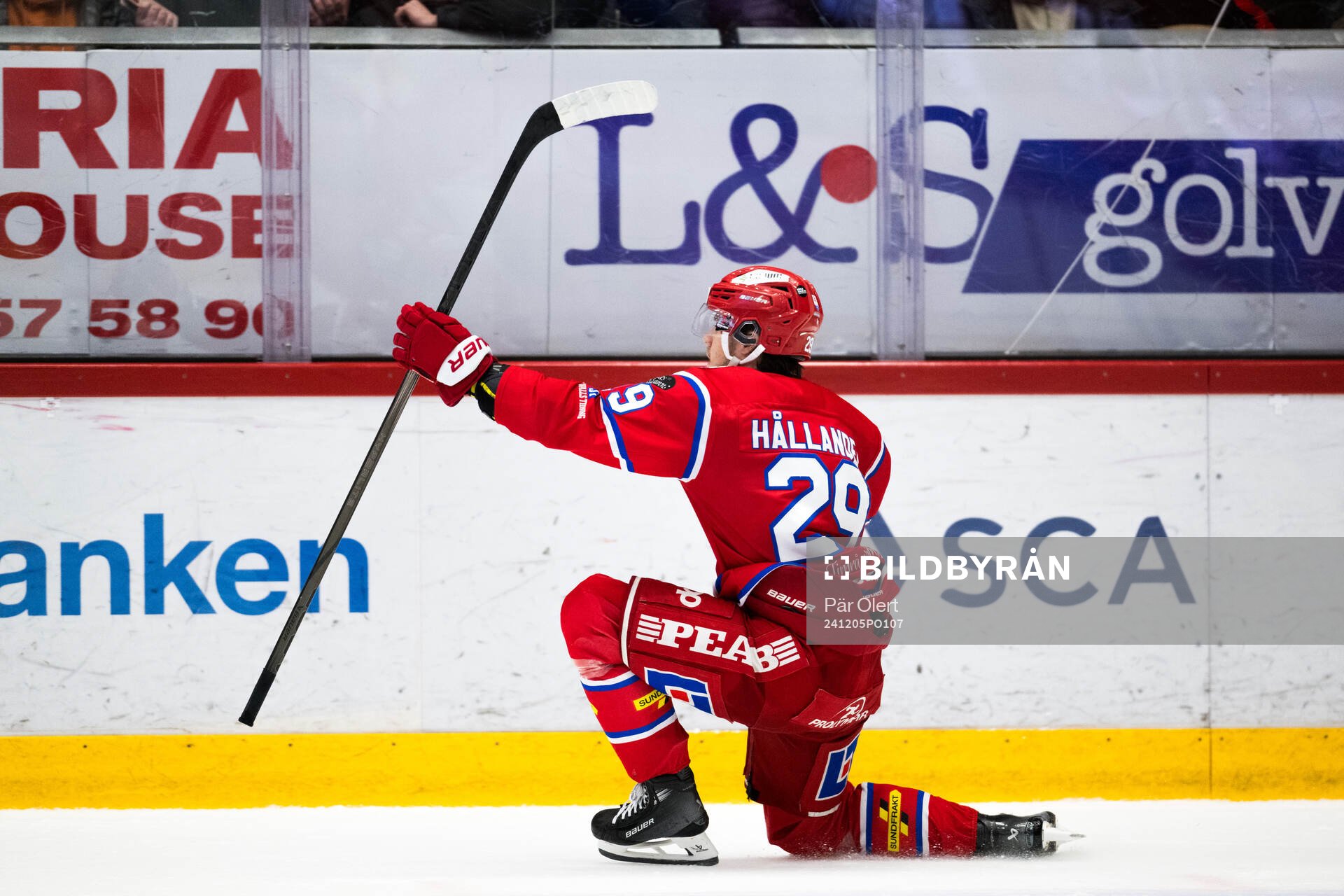 Timrås Filip Hållander jublar