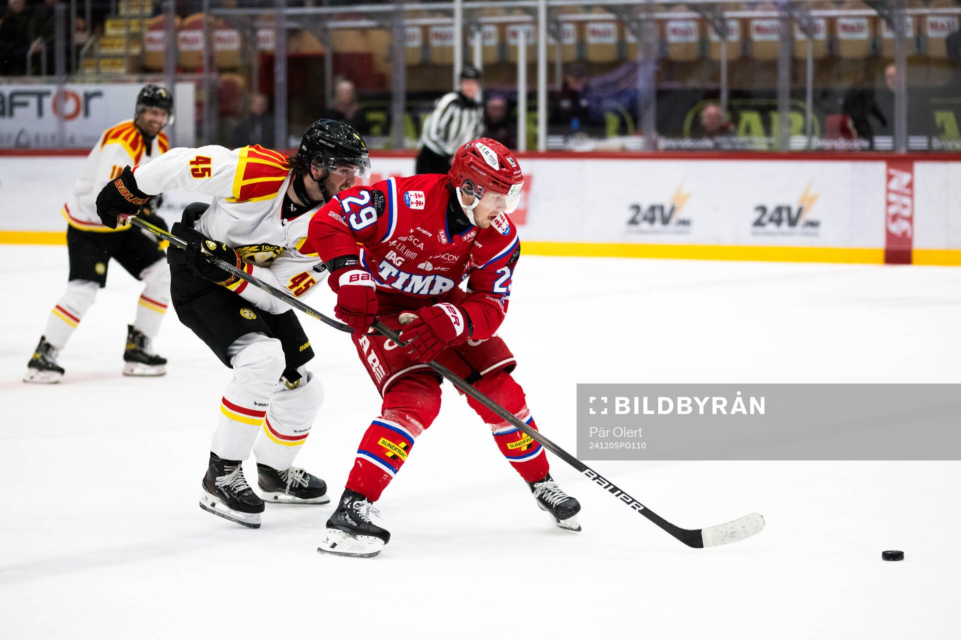 Timrås Filip Hållander