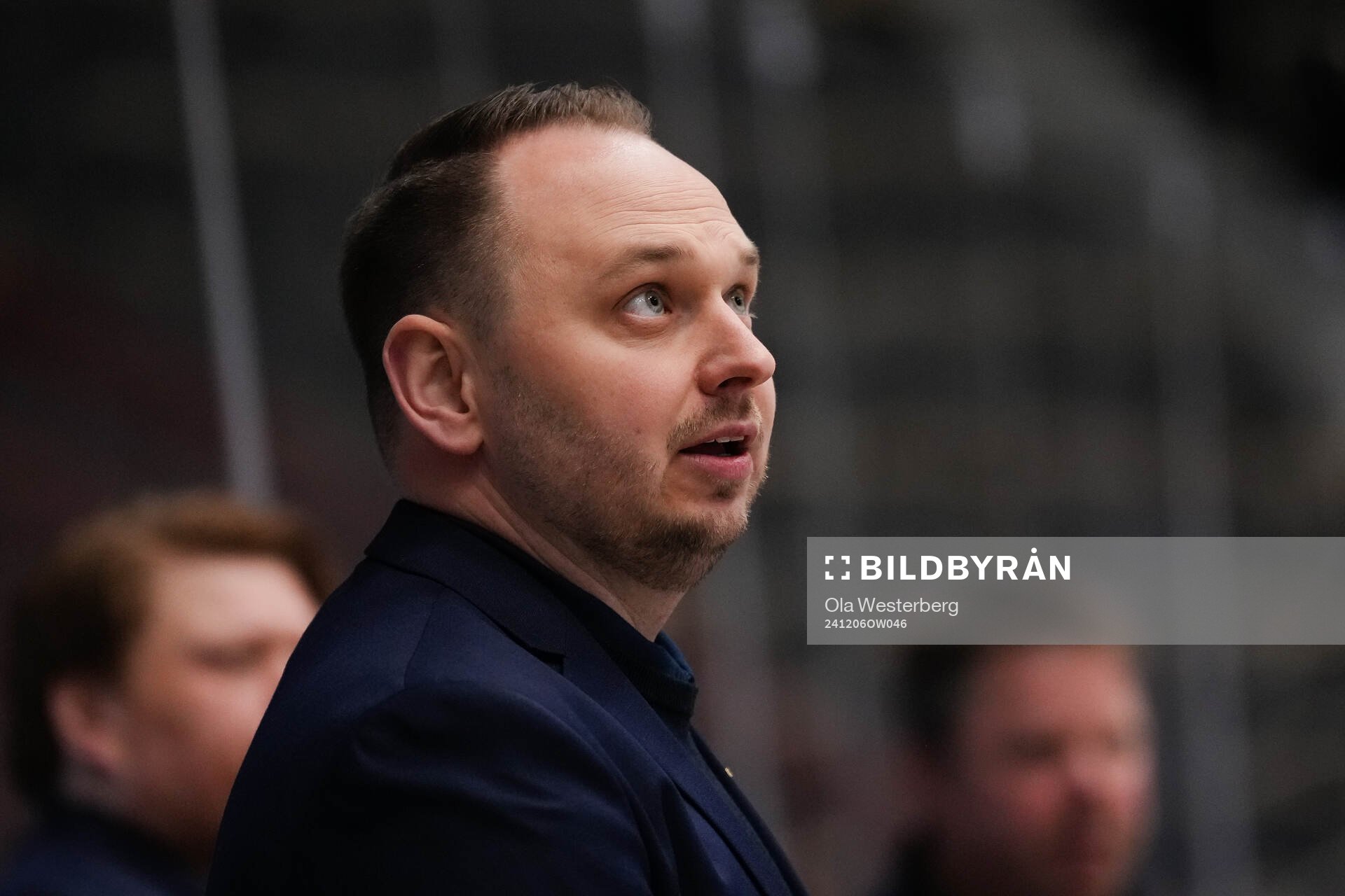 HV71s tränare Thomas Pettersen