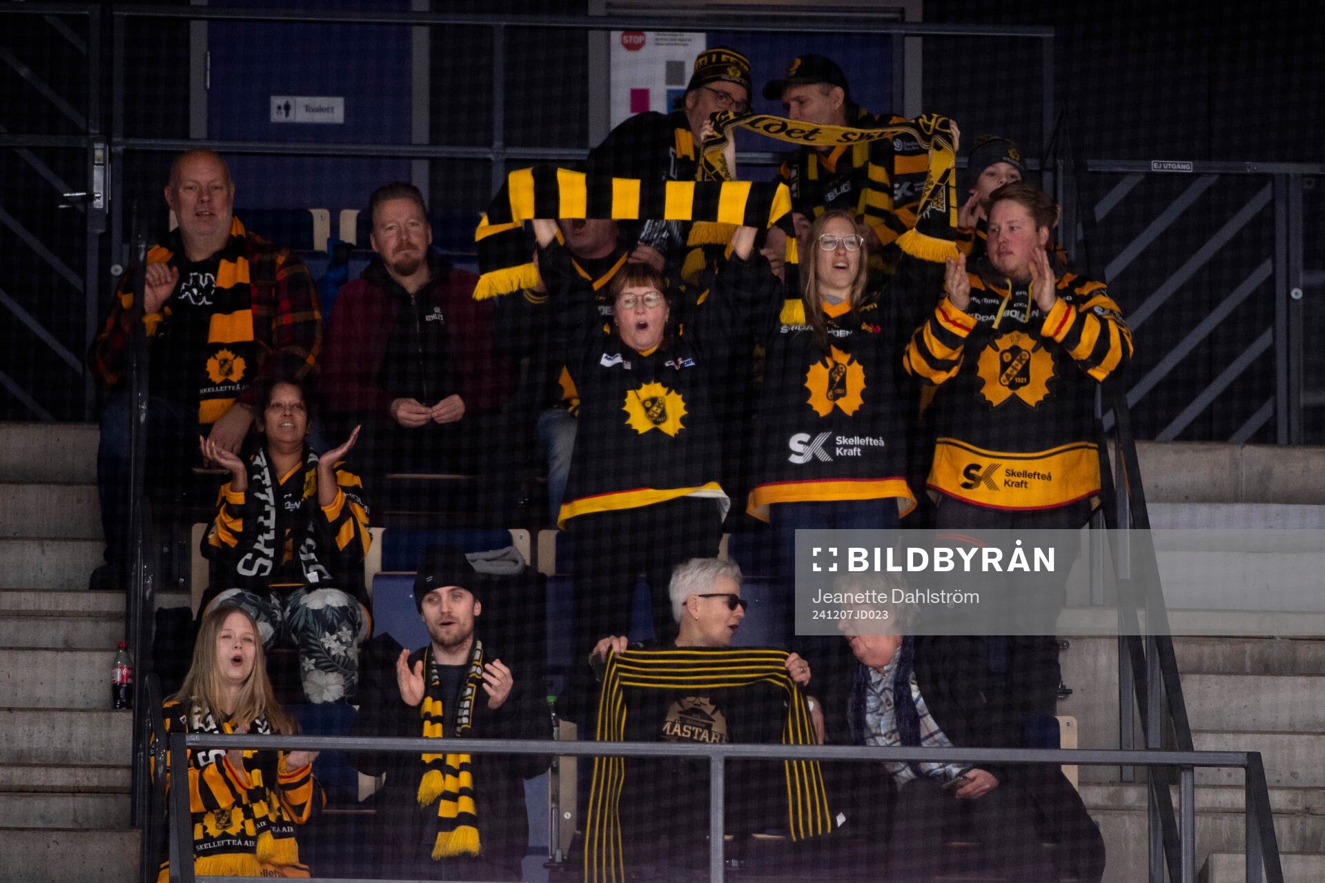 Skellefteås supportar jublar