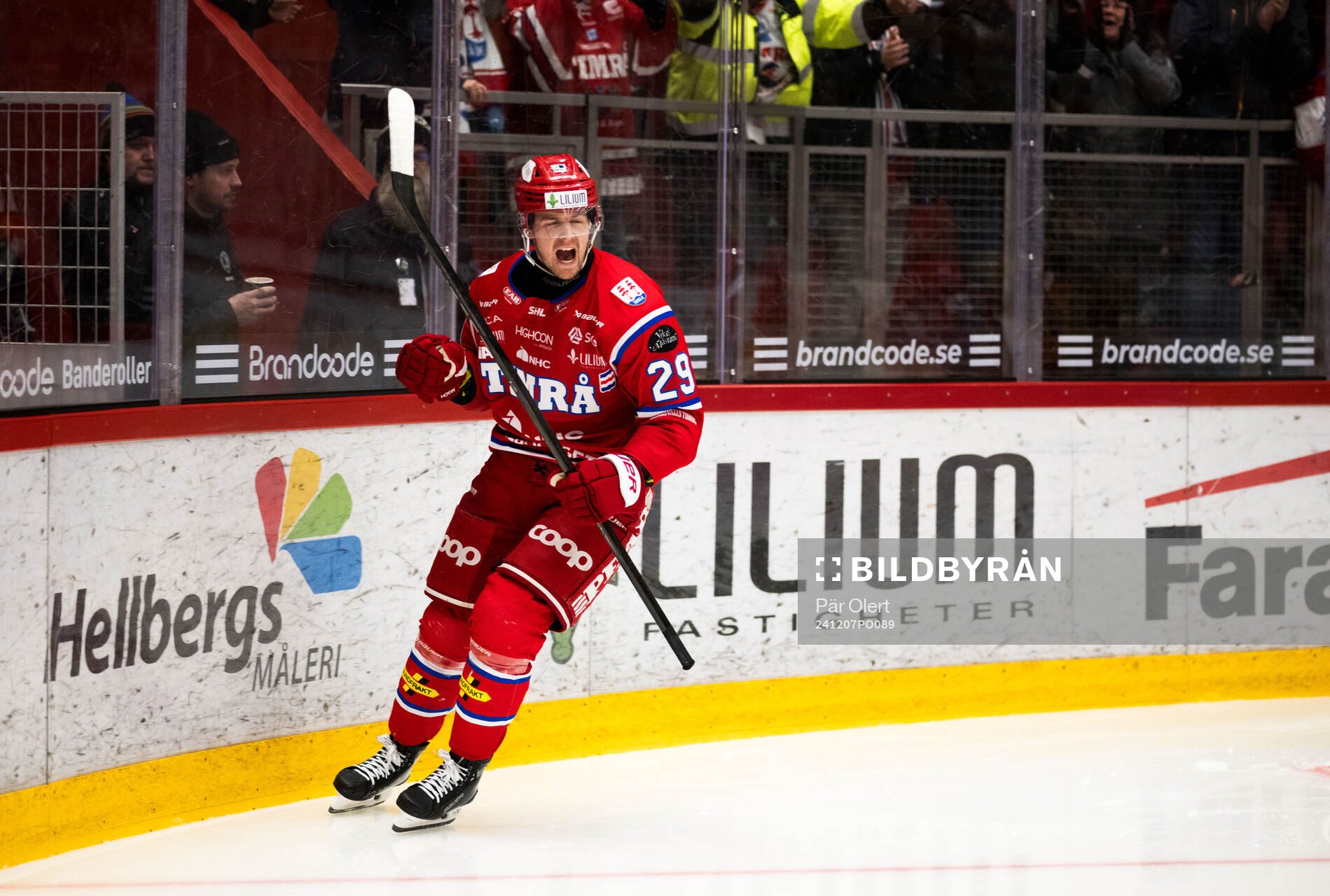 Timrås Filip Hållander jublar
