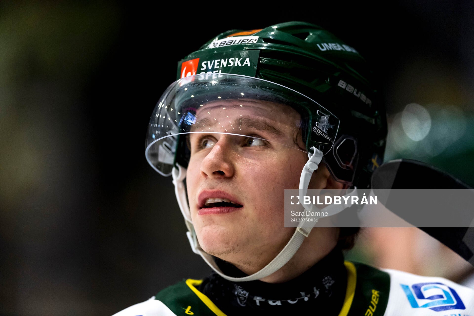 Björklövens Alfons Freij