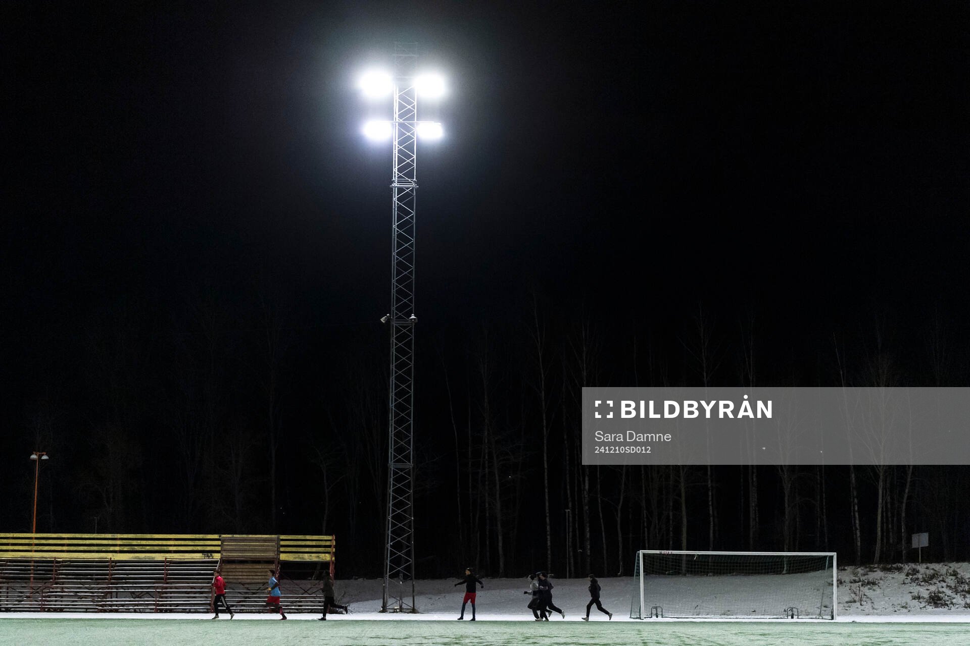 Spelare på Wenströmska IP