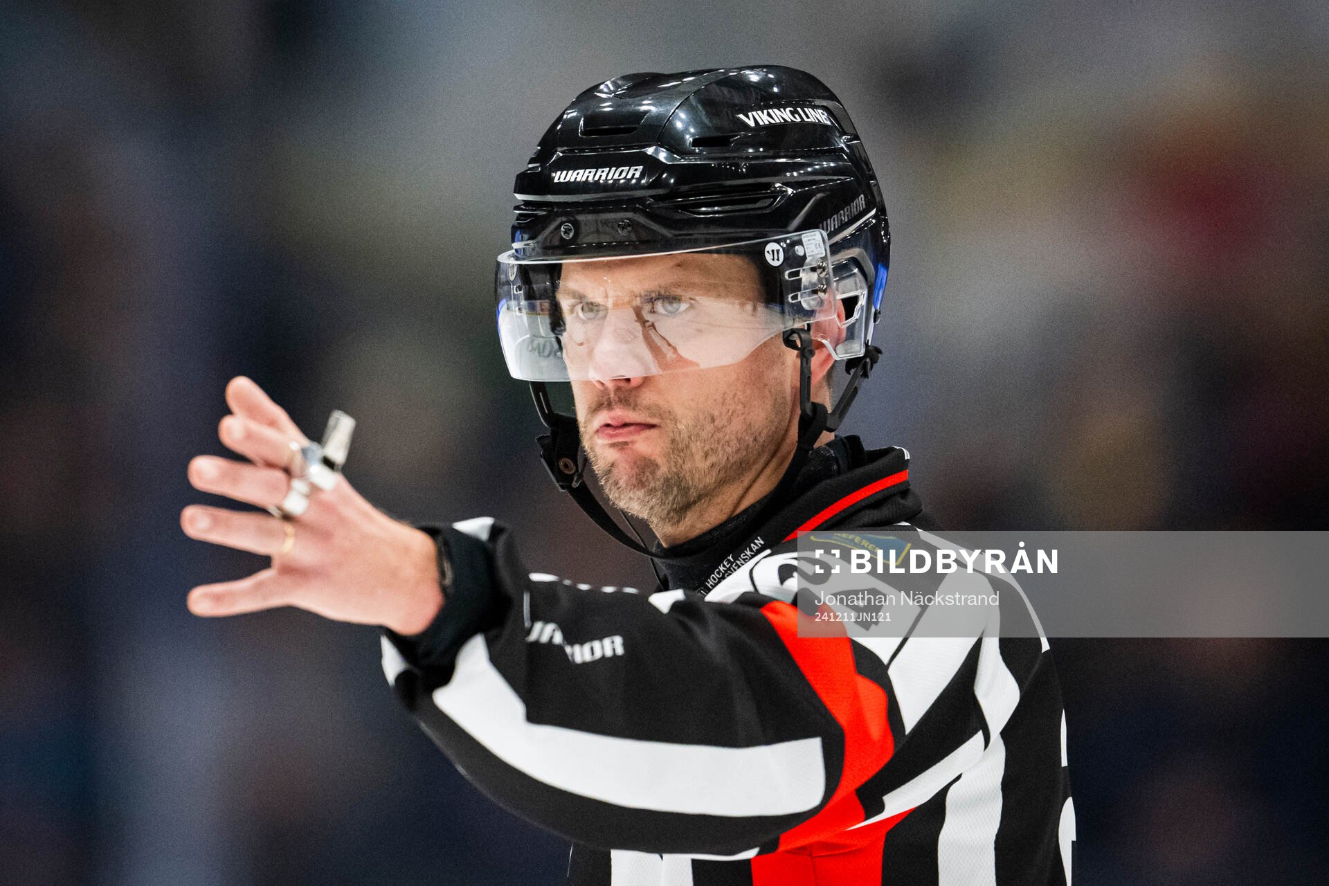 Domare Johan Magnusson