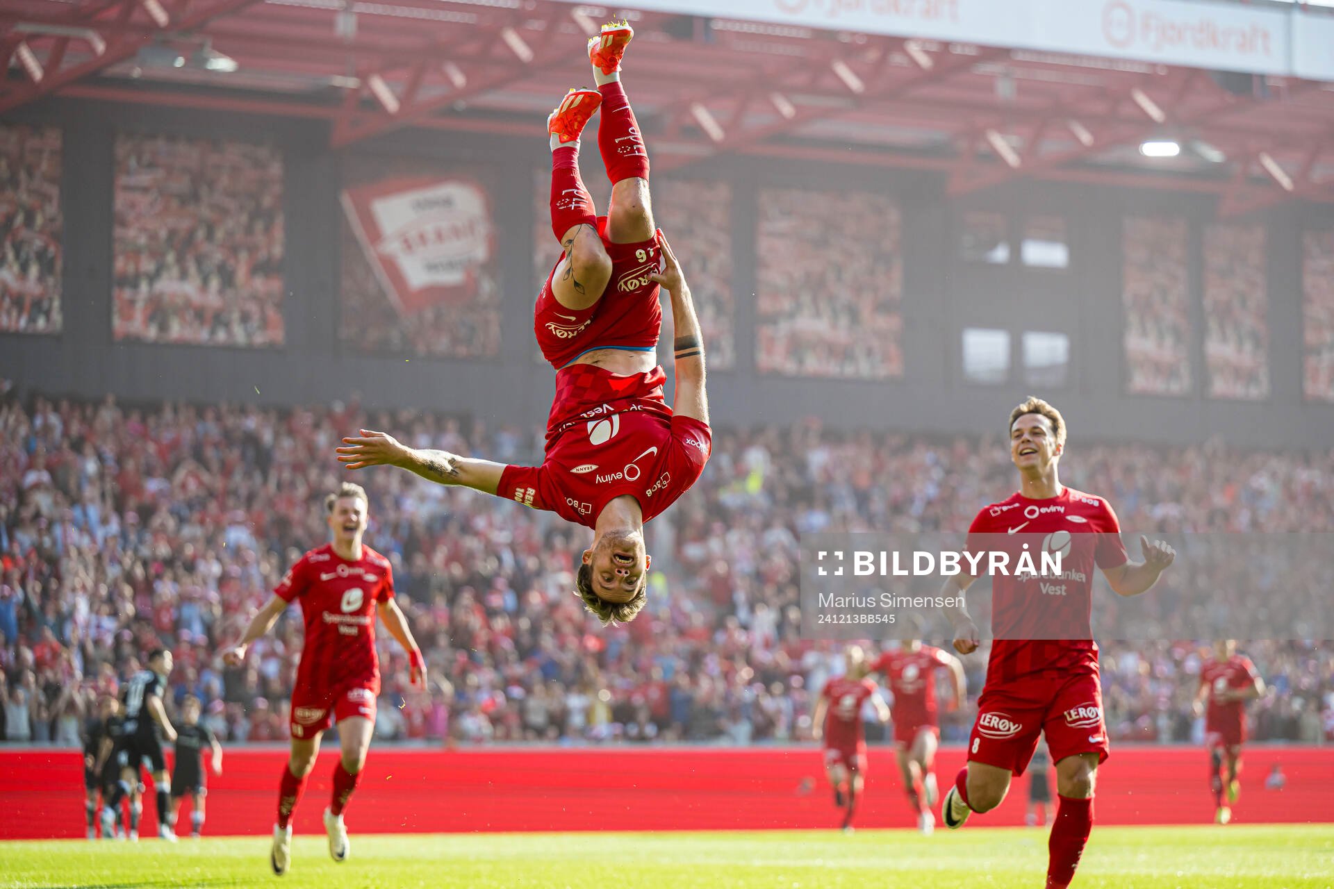 This picture is part of Bildbyrån’s selection of best