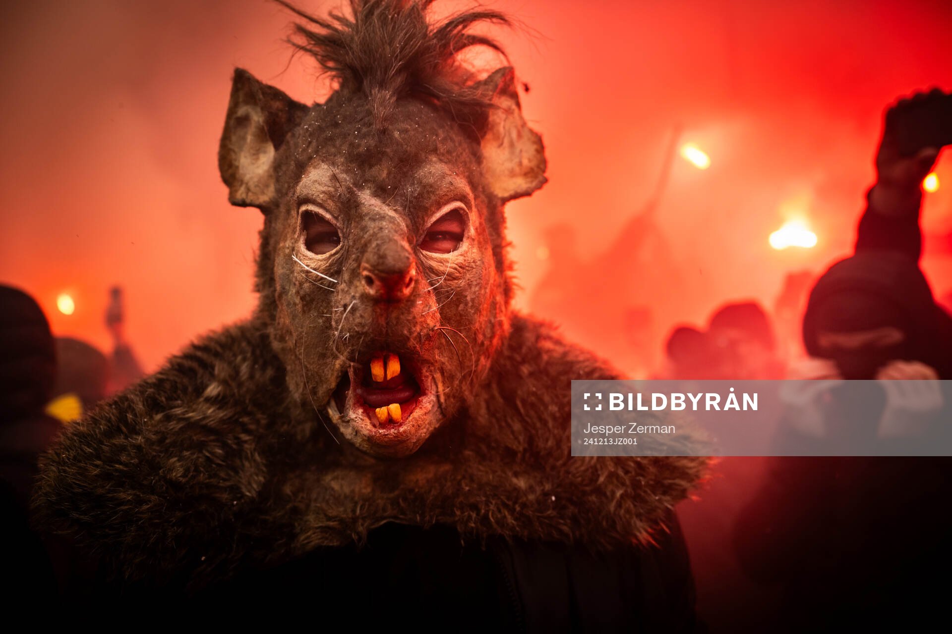 This picture is part of Bildbyrån’s selection of best