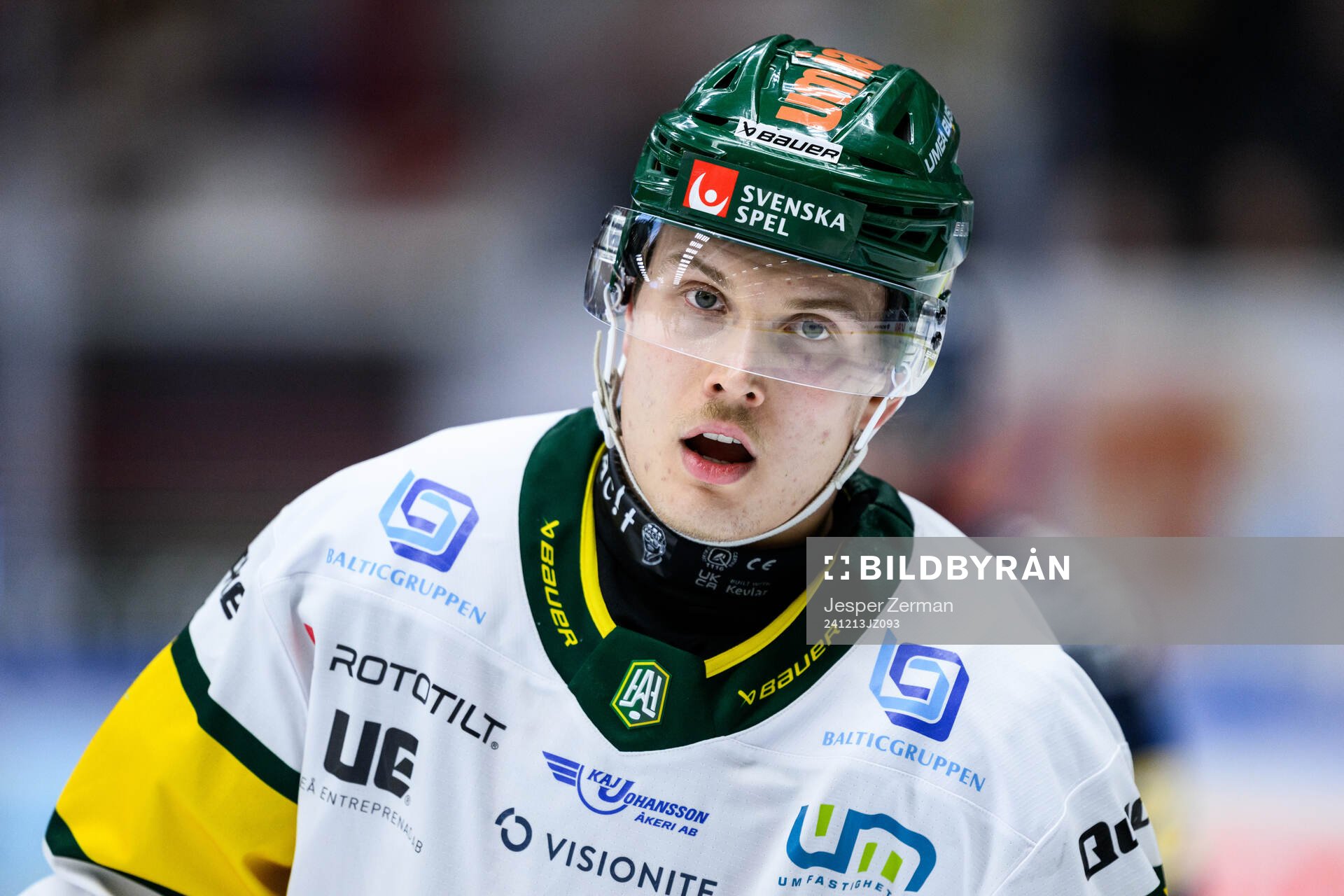Björklövens Lenni Killinen