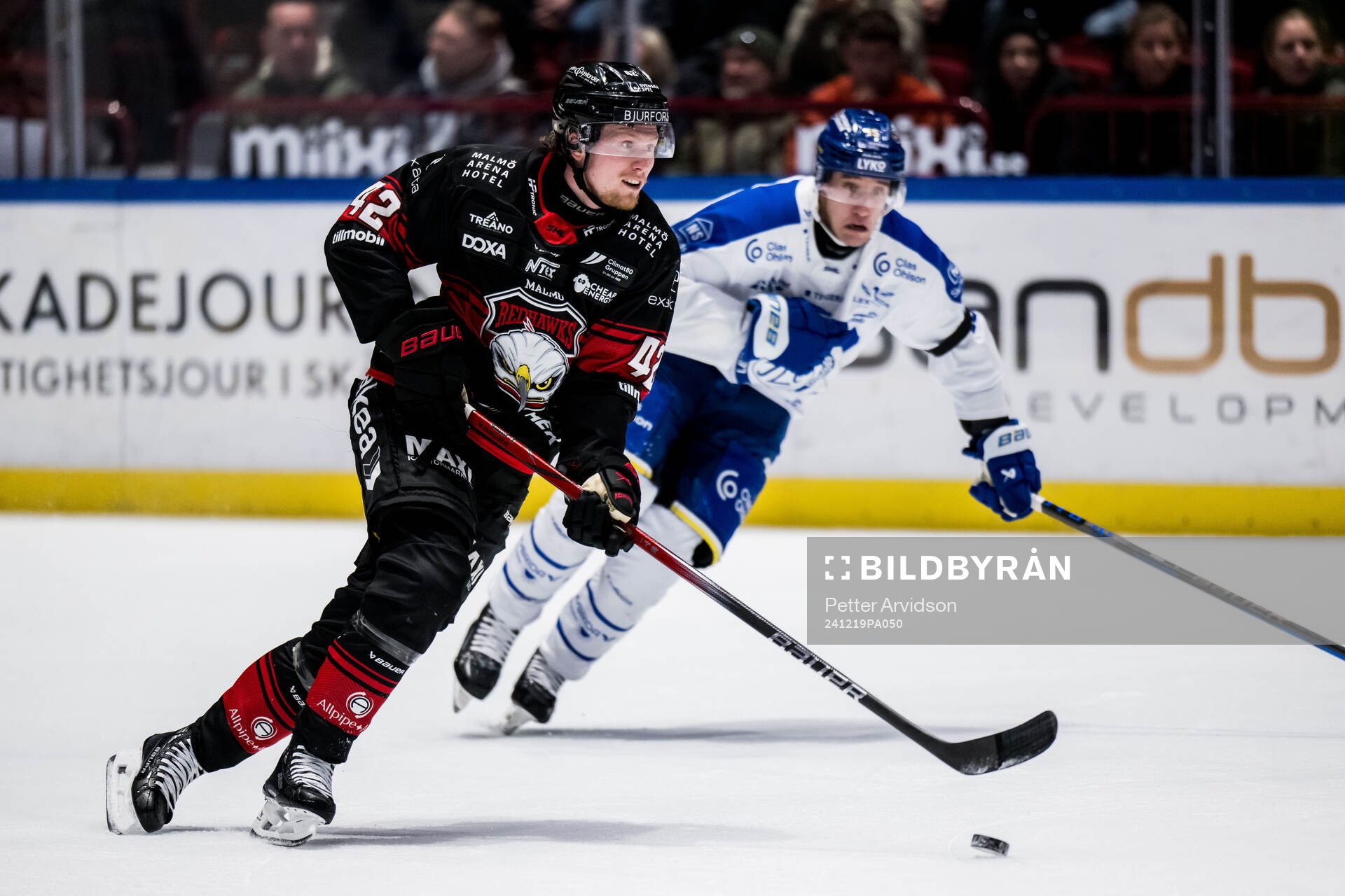 Malmö Redhawks Robin Salo