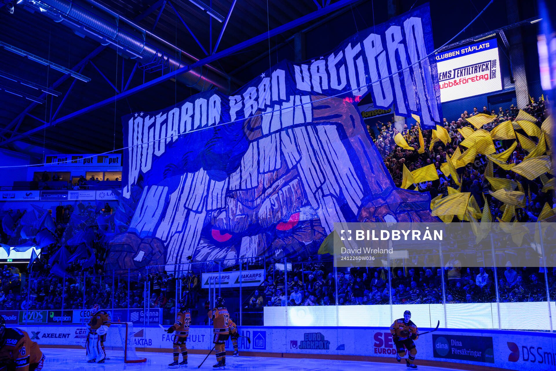HV71s  Tifo