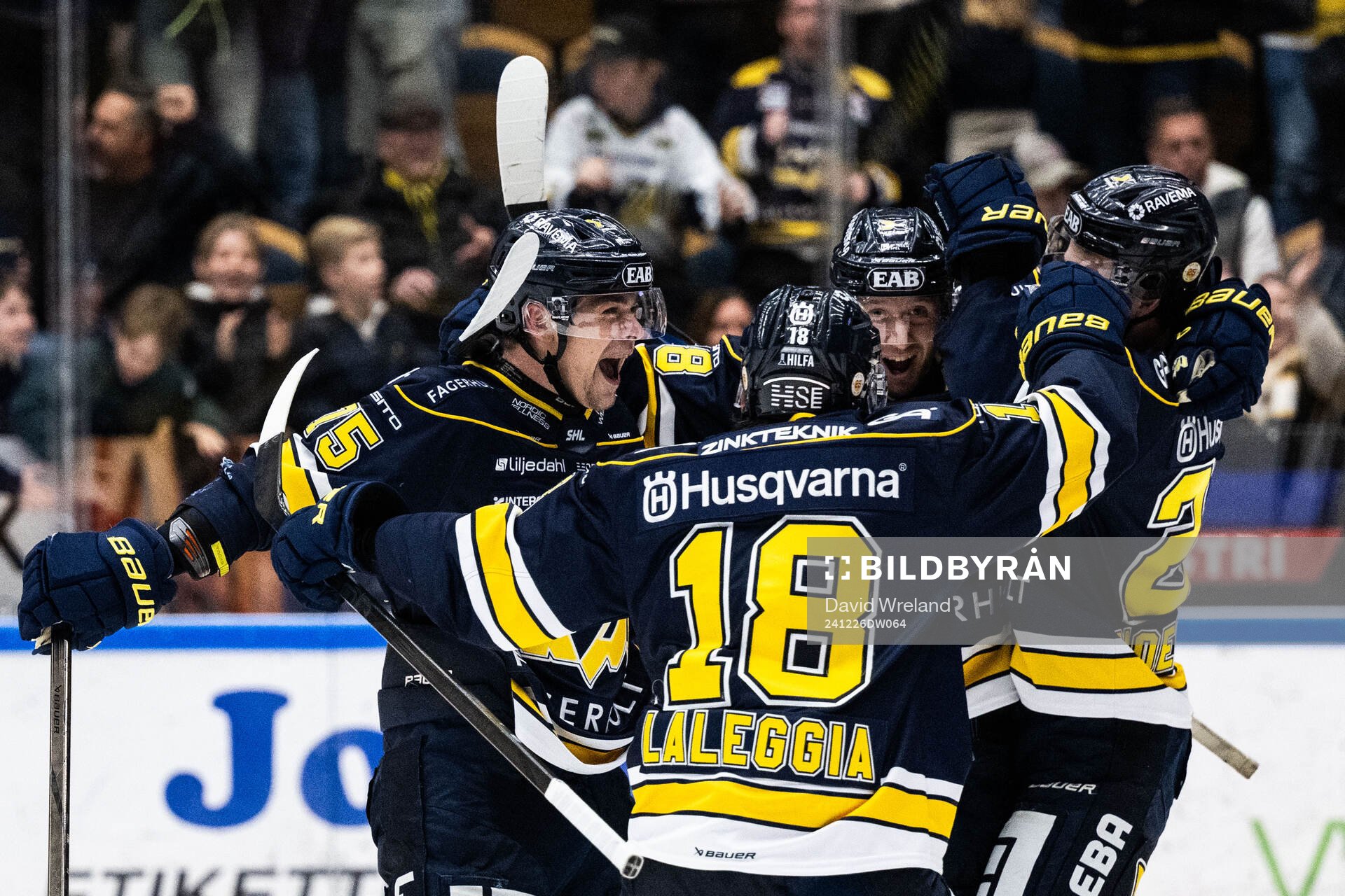 HV71s Radan Lenc jublar