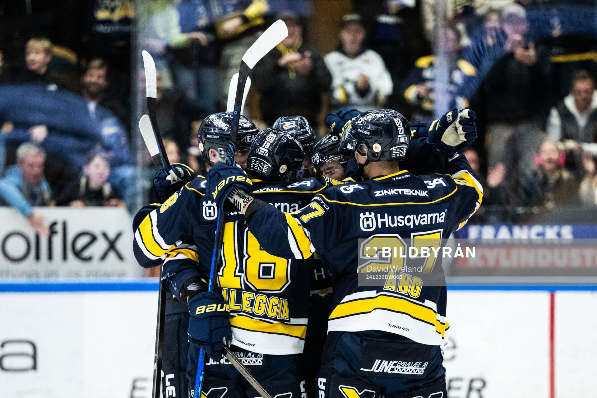HV71s Radan Lenc jublar