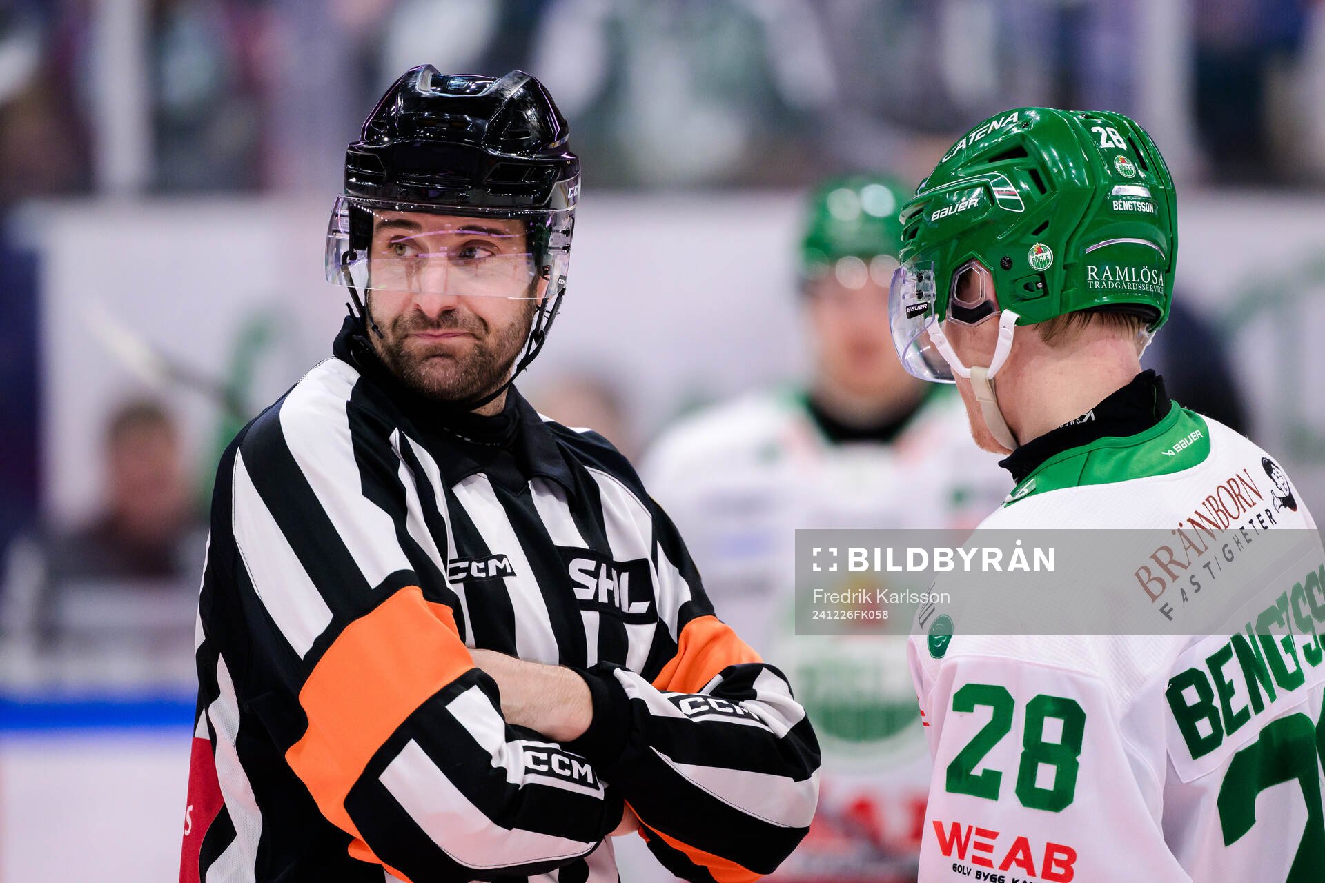 Domare Mikael Sjöqvist