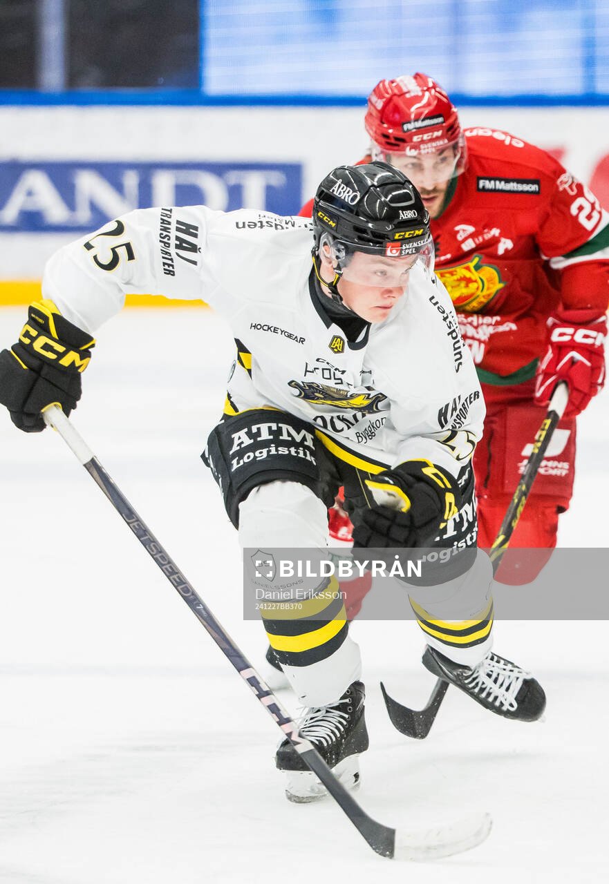 AIKs Theo Hårdstam
