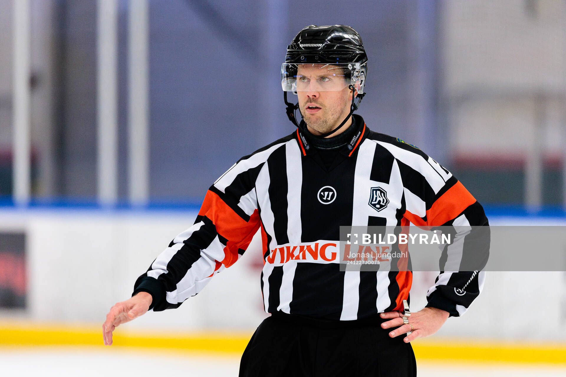 Domare Johan Magnusson