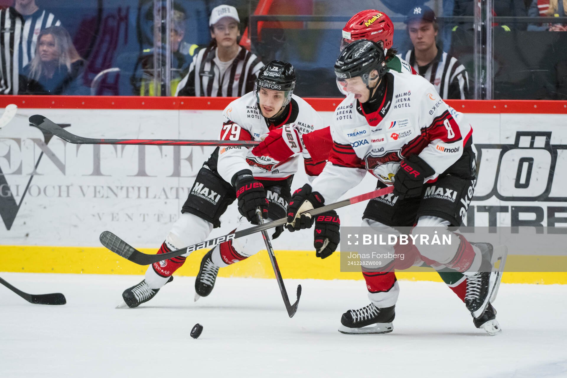 Malmö Redhawks Jakub Galvas