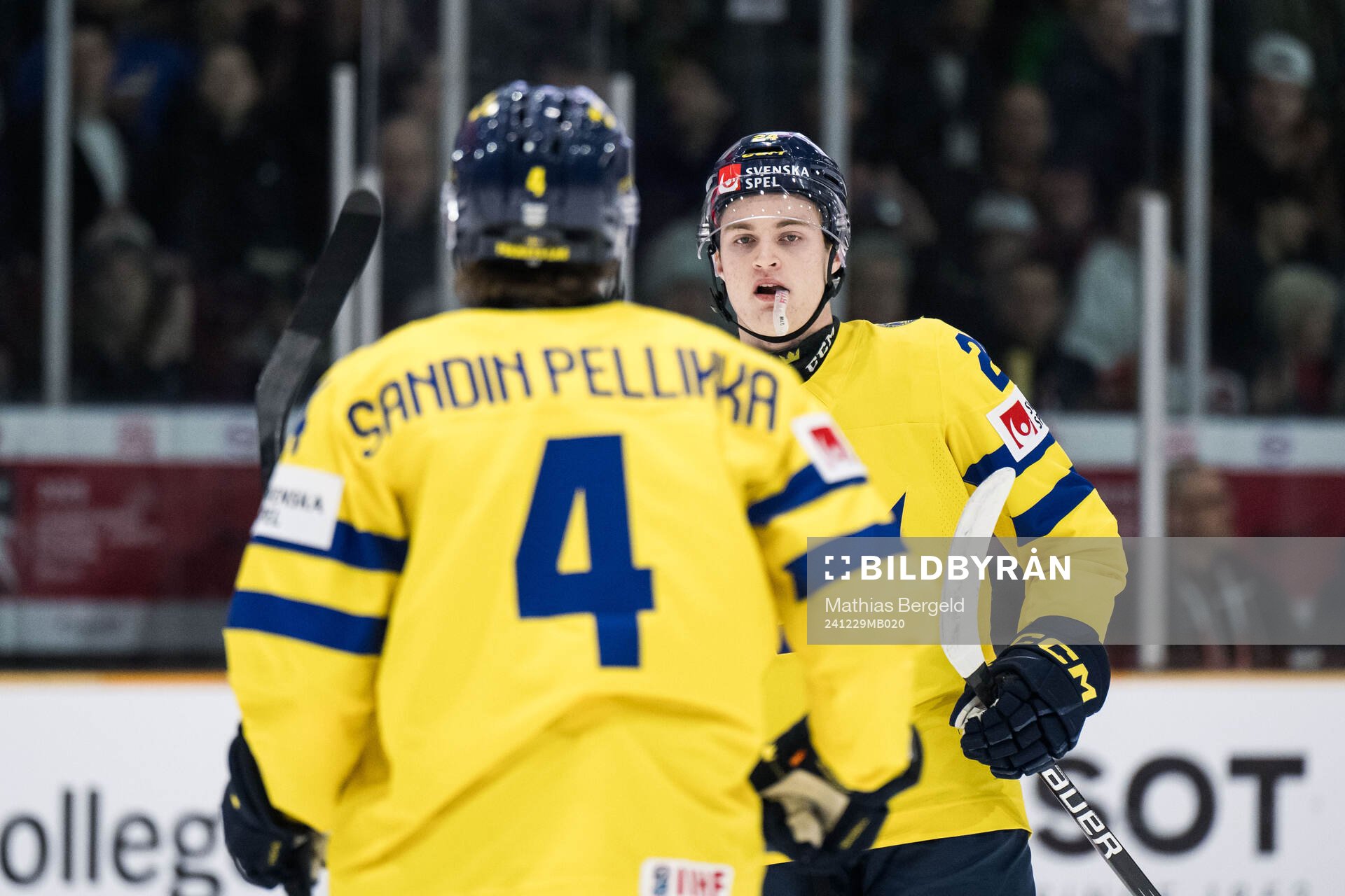 Tom Willander of Sweden celebrates