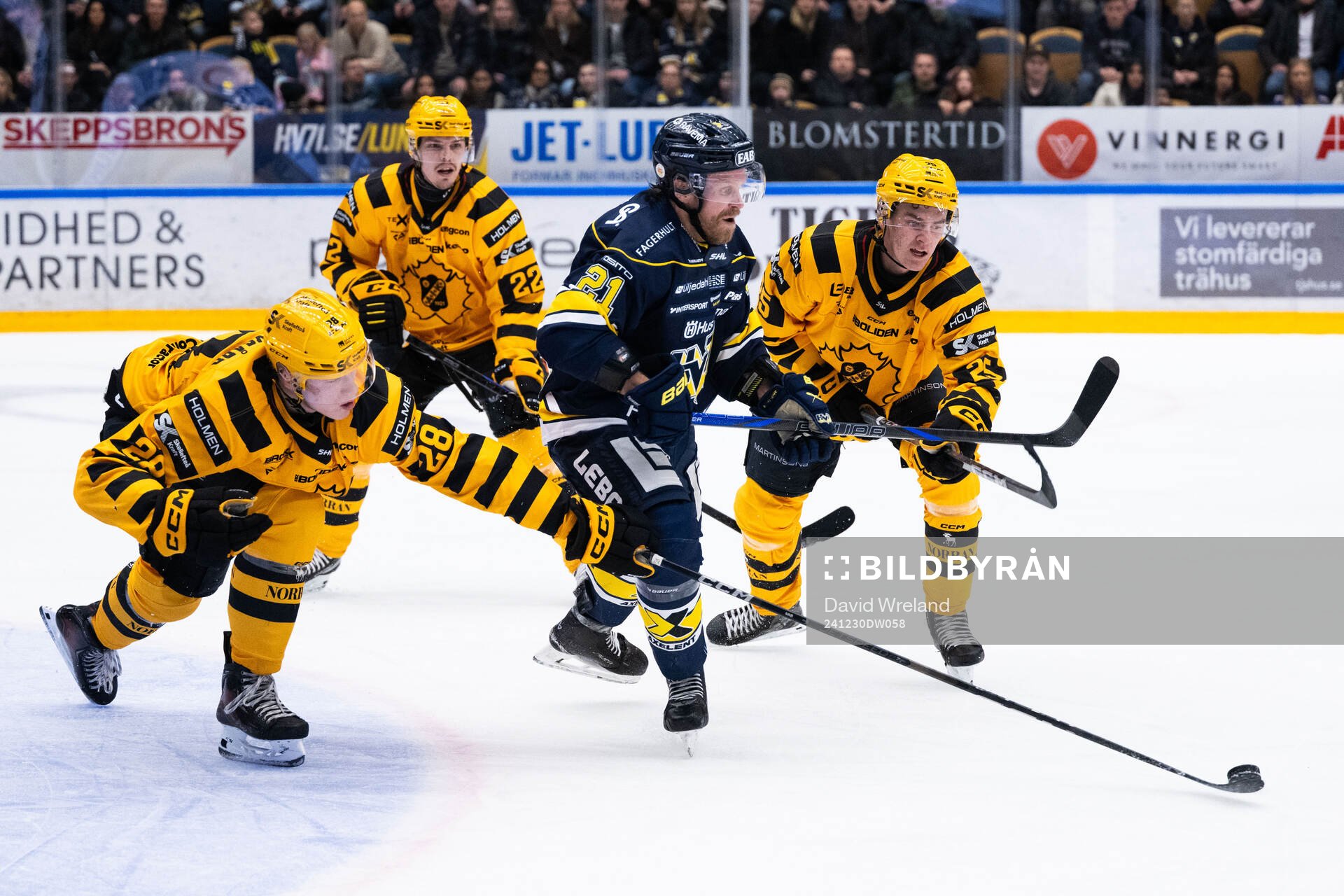 Skellefteås Michael Brandsegg-Nygård och Pontus Johansson