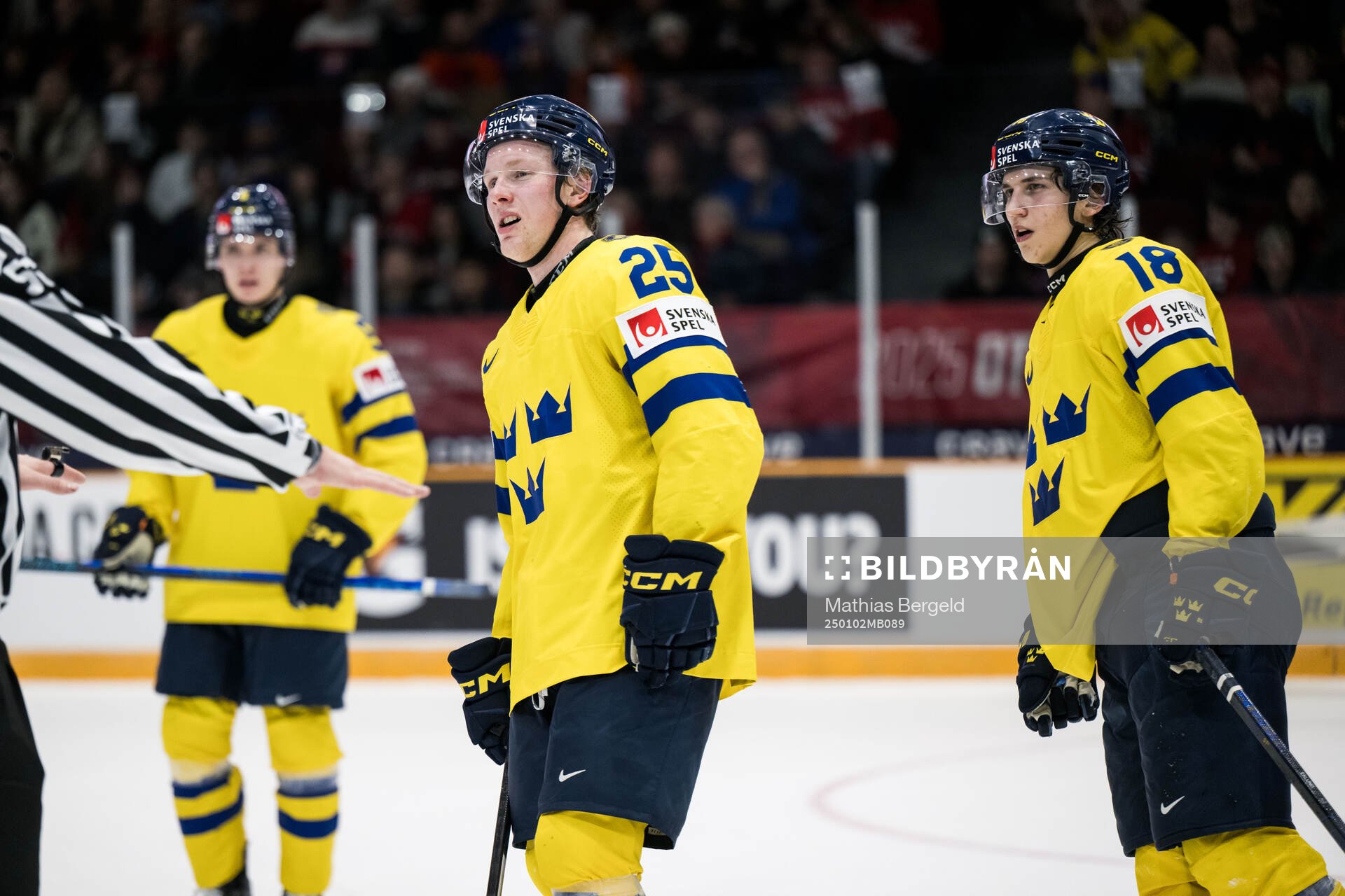Otto Stenberg and Victor Eklund of Sweden