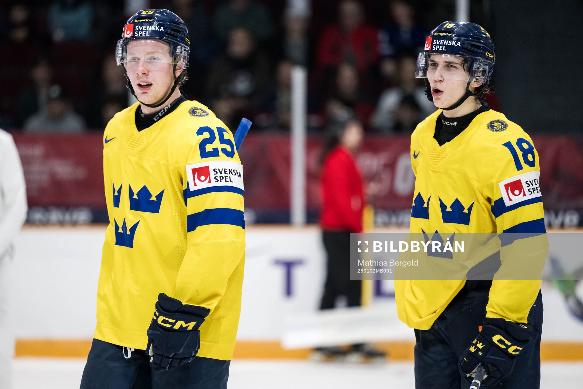 Otto Stenberg and Victor Eklund of Sweden