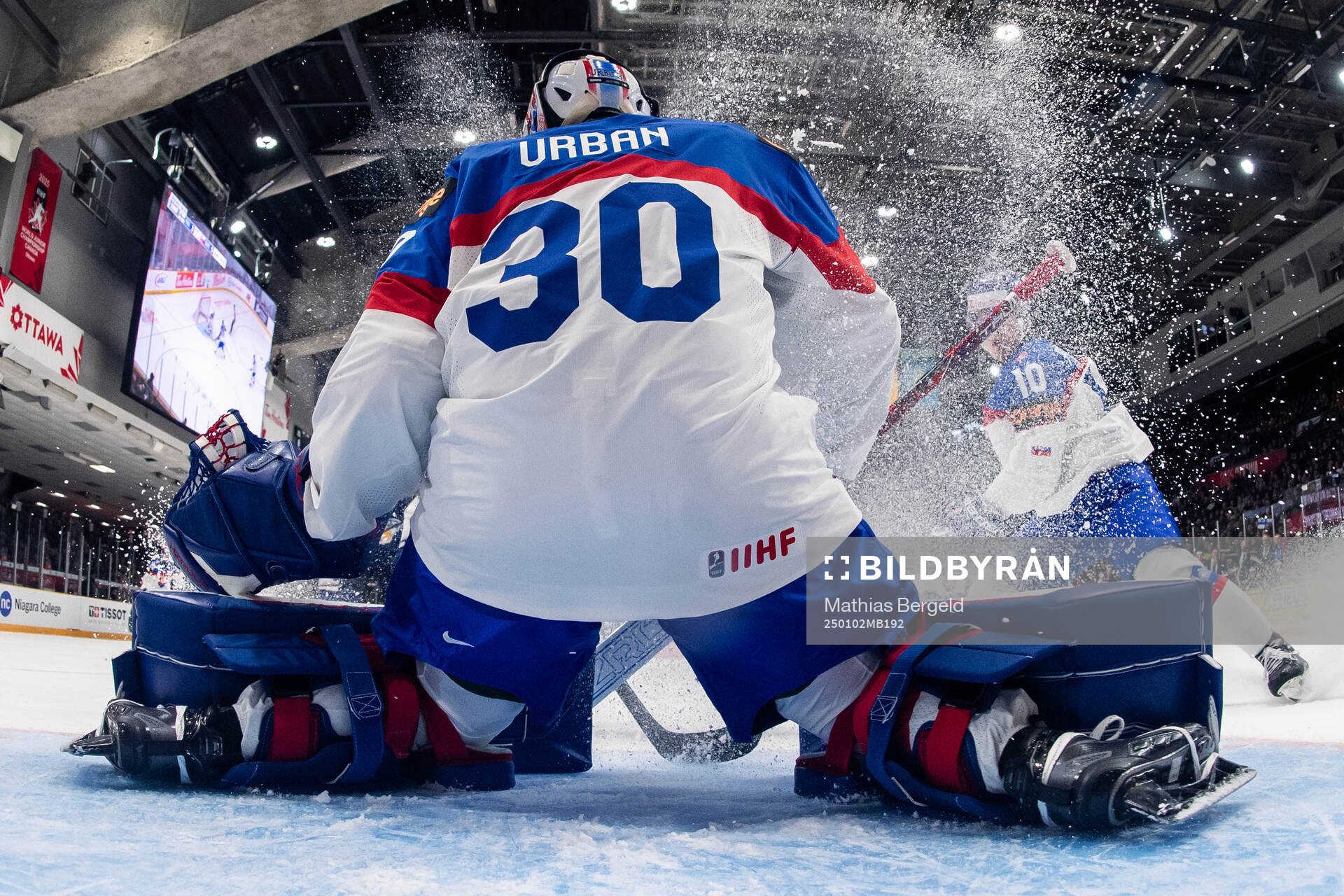 Goaltender Samuel Urban of Slovakia
