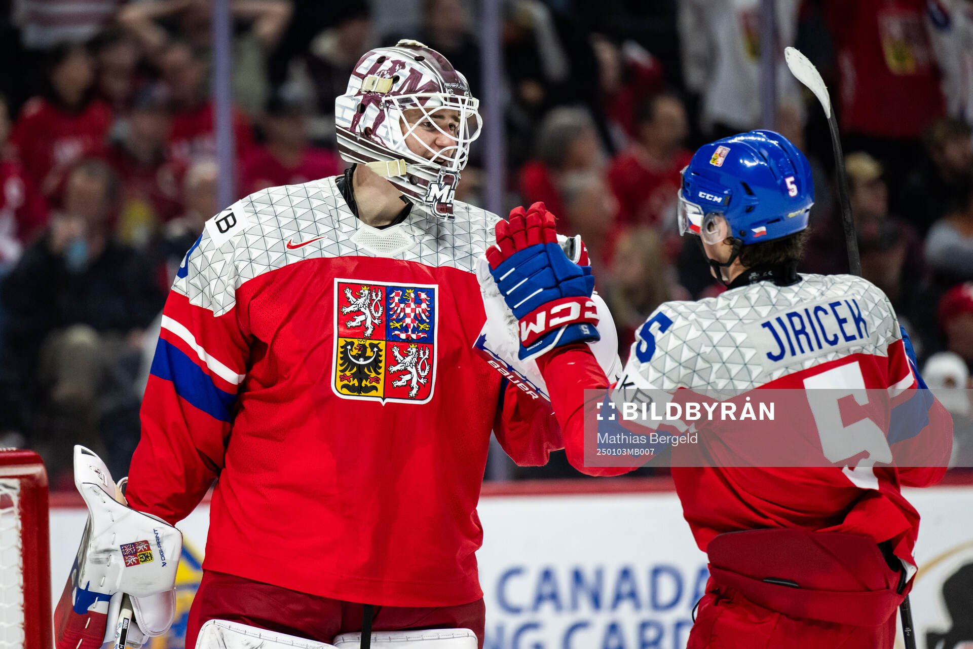 Goaltender Michael Hrabal and Adam Jiricek celebrate