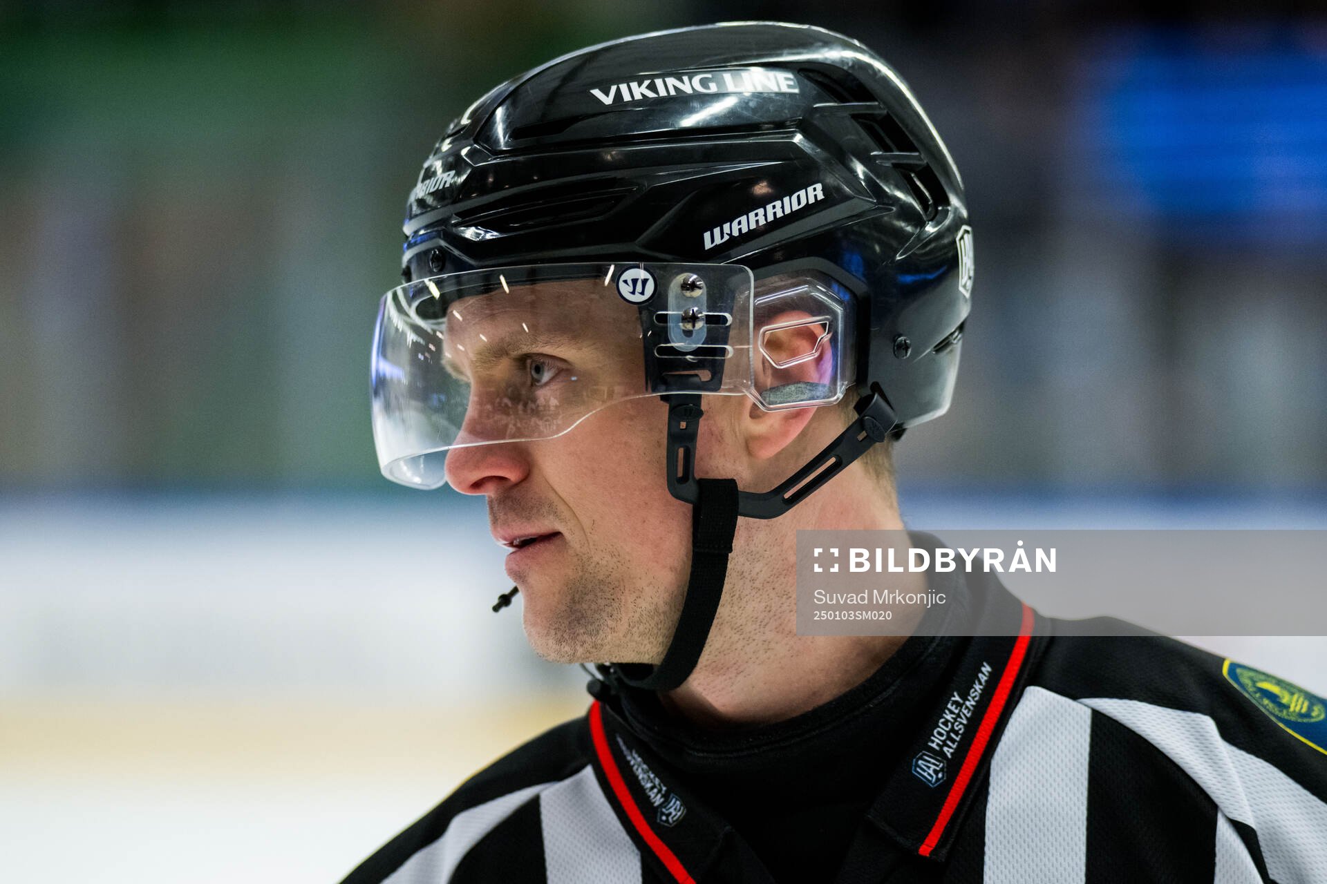 Domare Stefan Leijonklo