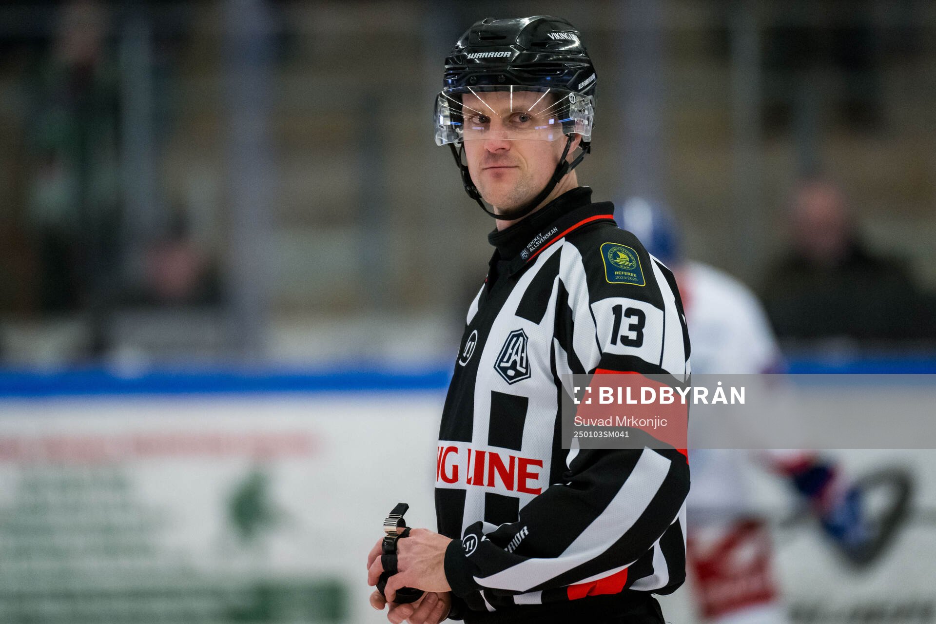 Domare Stefan Leijonklo