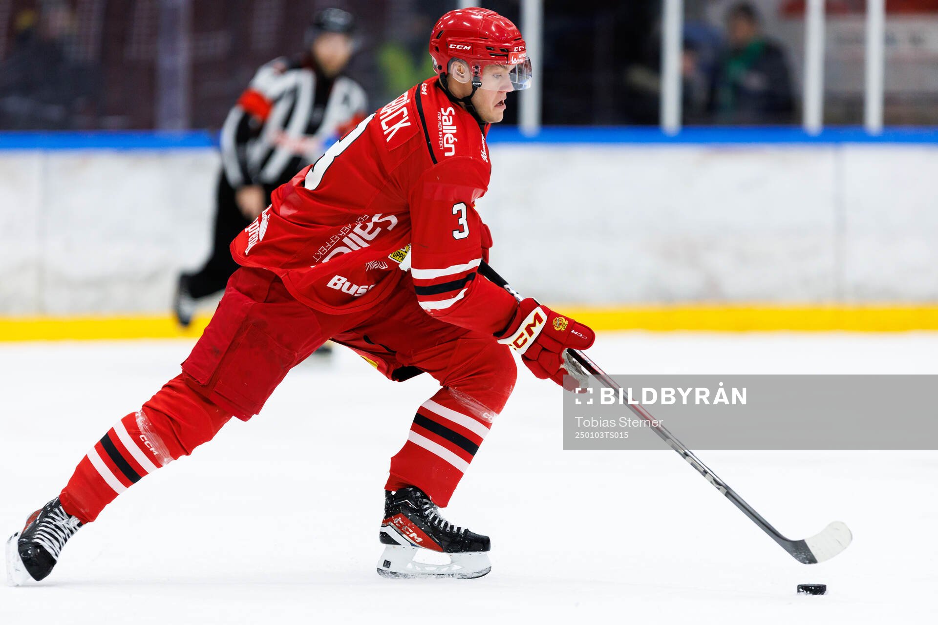 Almtunas Leon Lerebäck