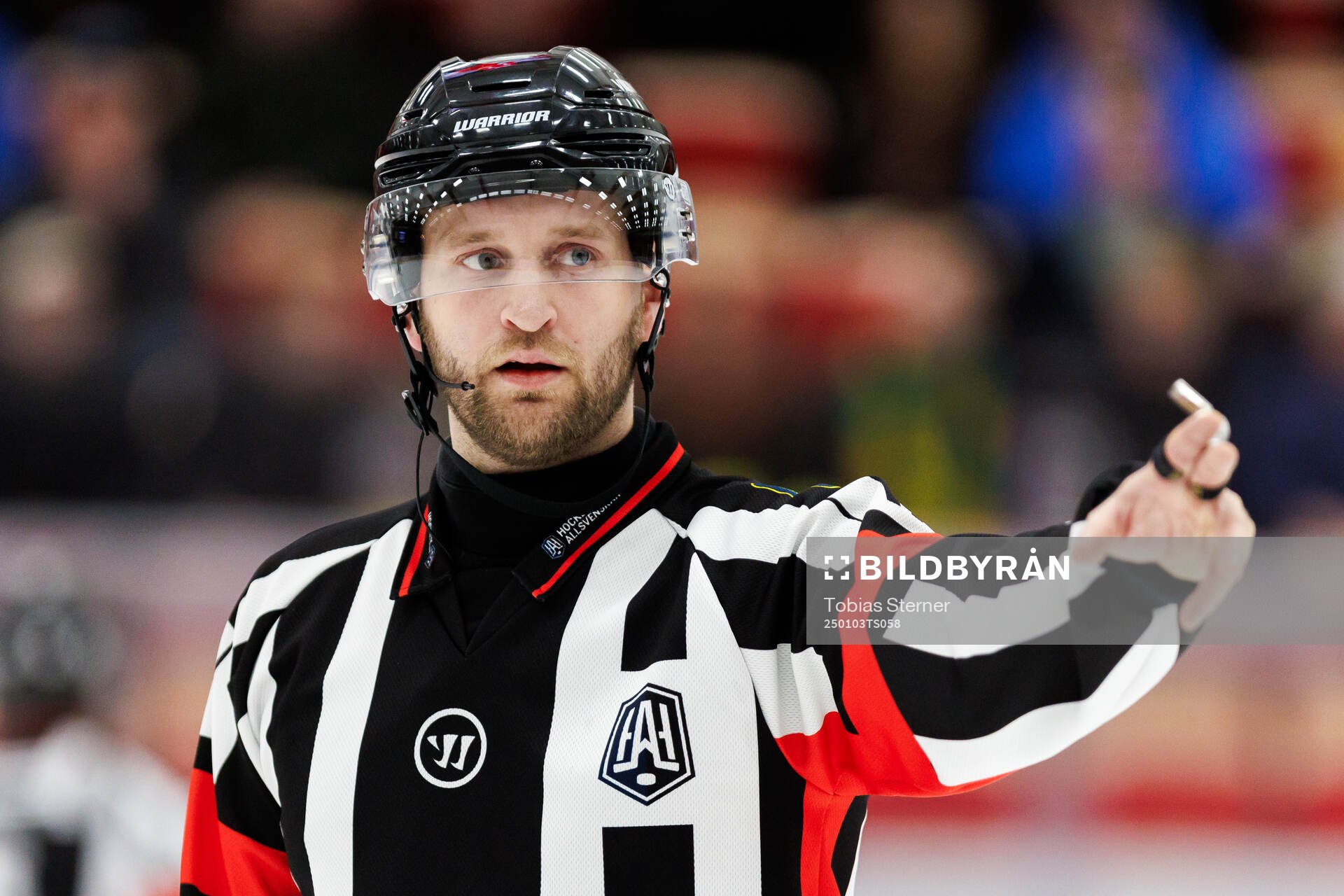 Domare Niklas Johansson