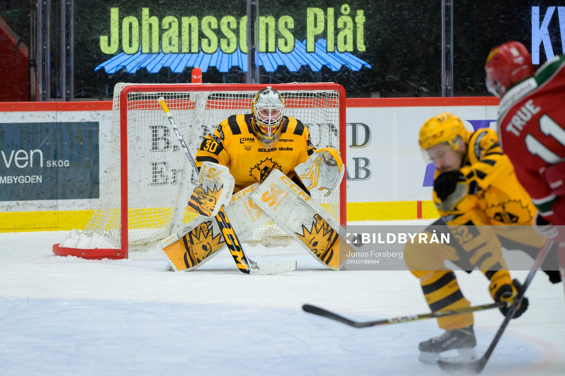 Skellefteås målvakt Gustaf Lindvall