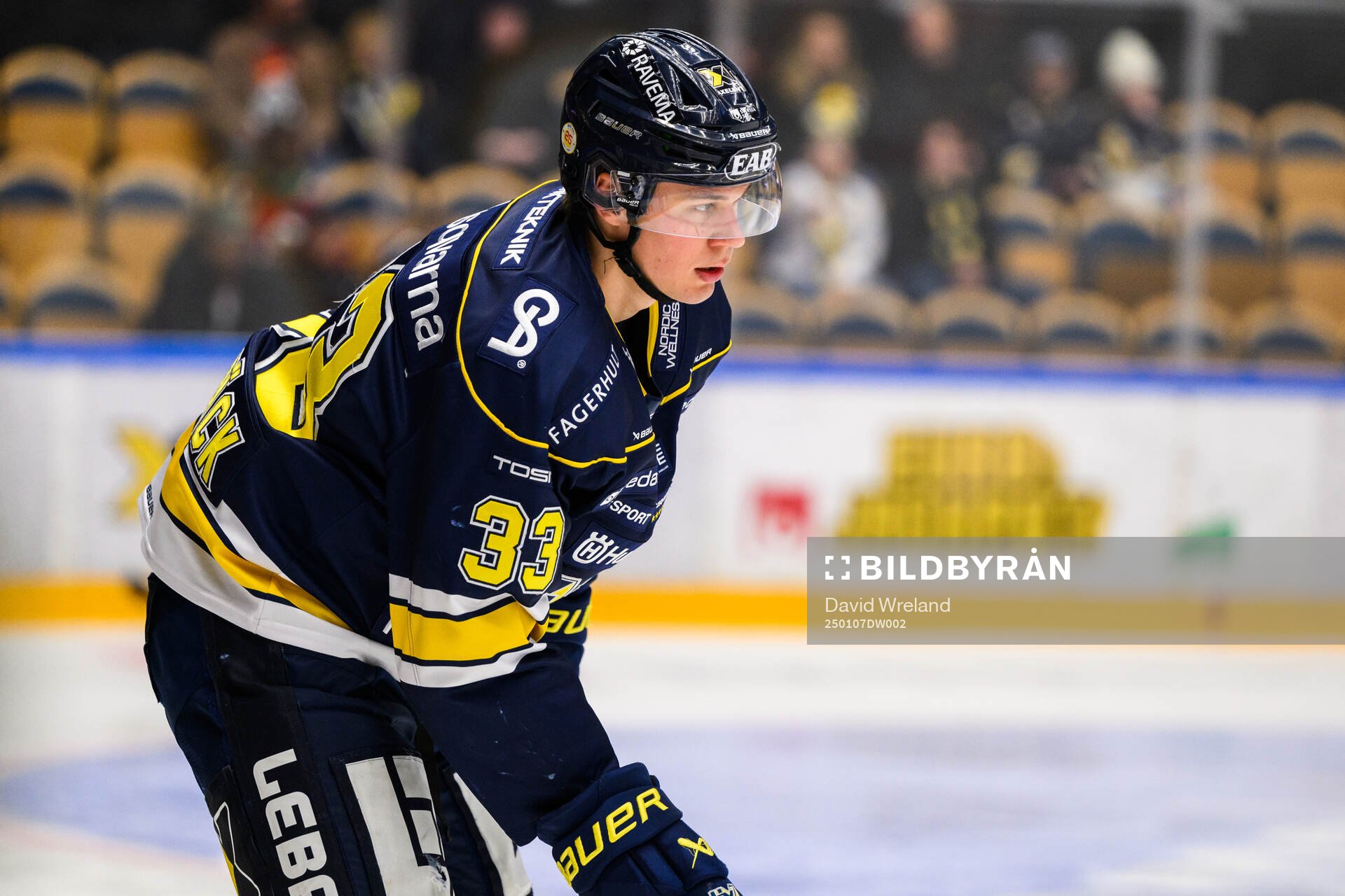 HV71s Måns Lindbäck
