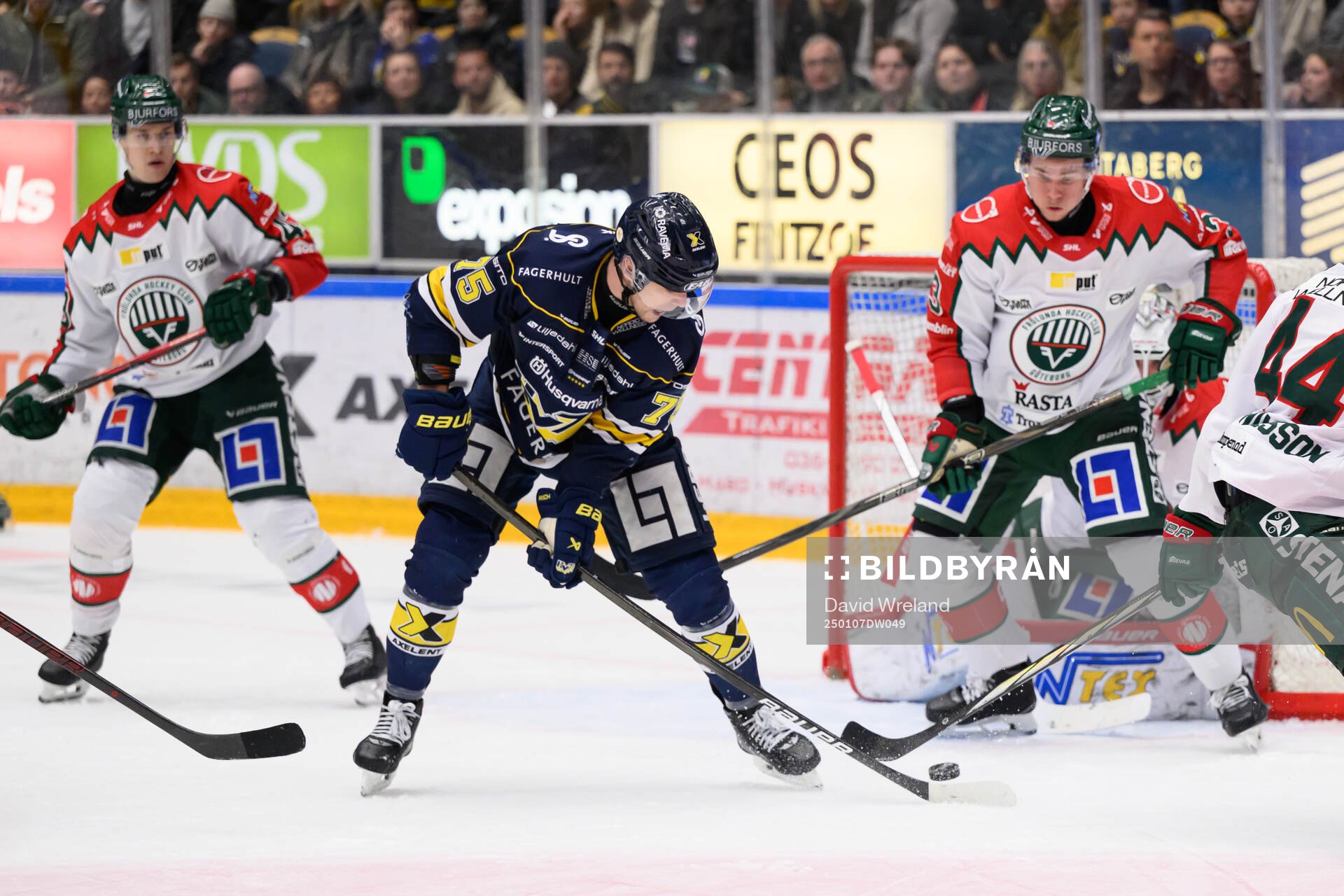 HV71s Radan Lenc
